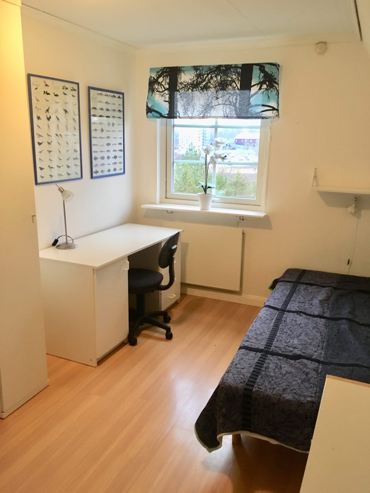Villa/Hus, 1 rooms, 13 sqm, Norrköping