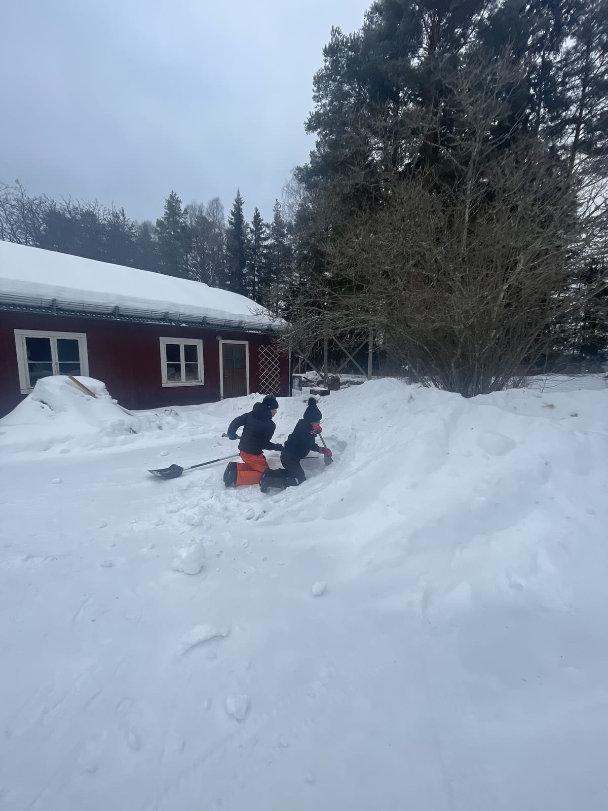 5 rok · 110 m² i Bjuråker – bild 29
