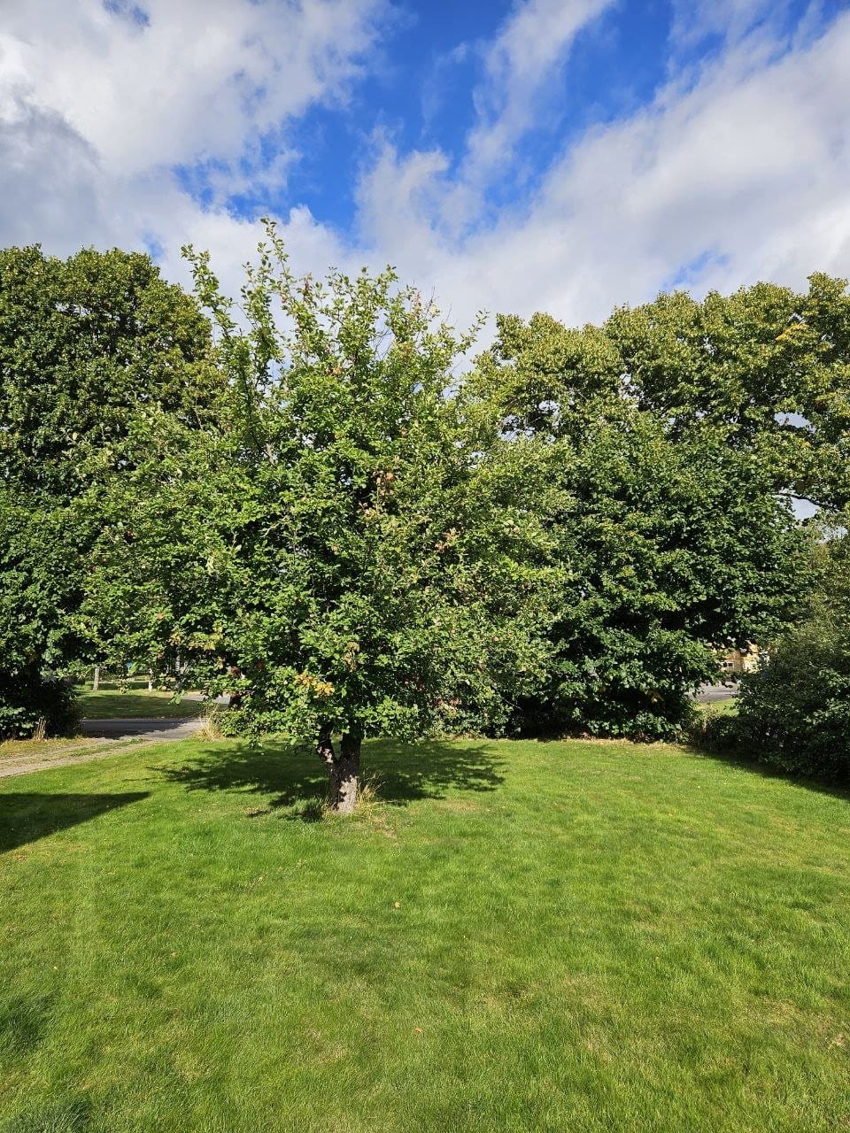 5 rok · 149 m² i Ölsremma – bild 2