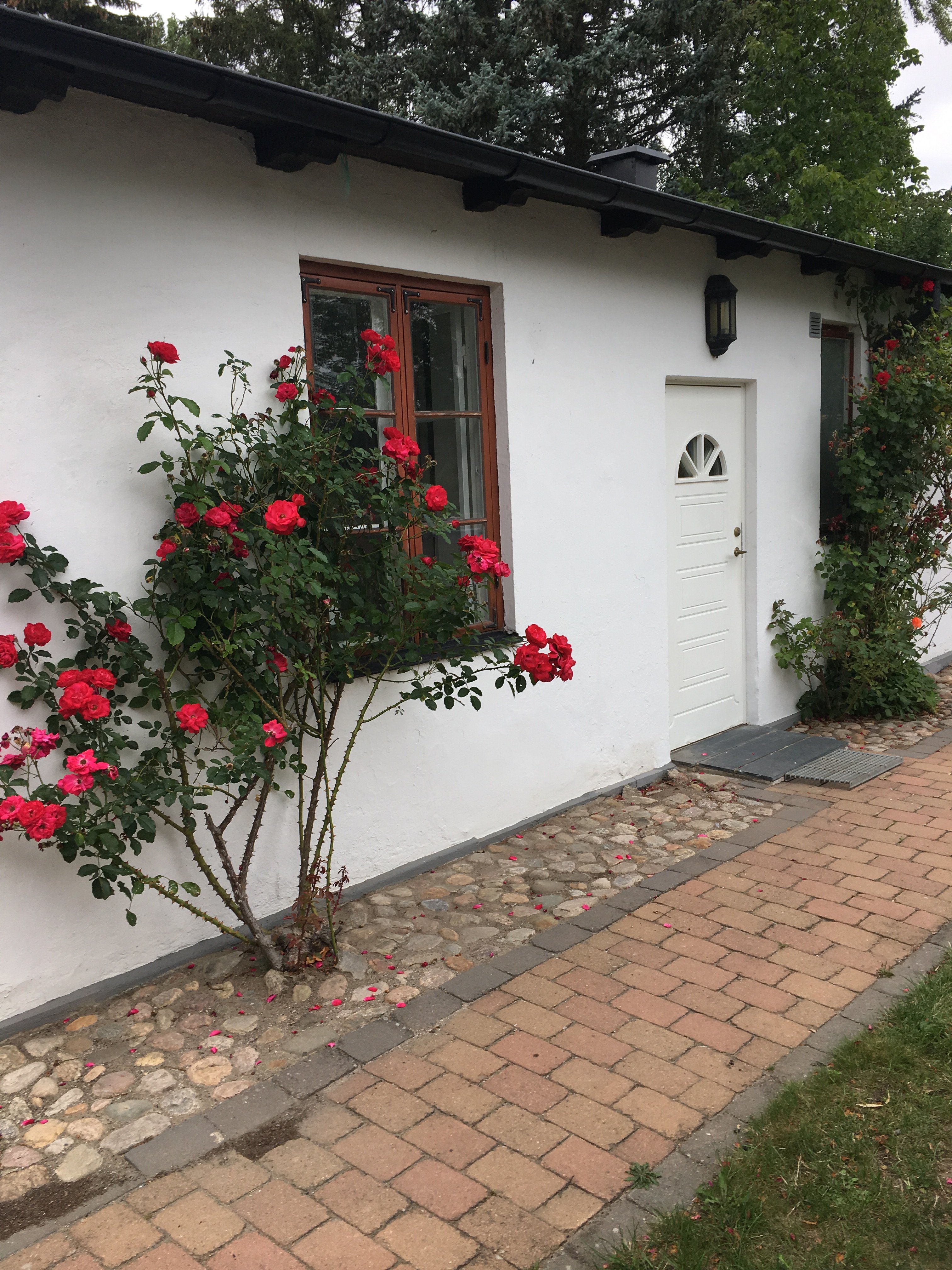 Övrigt, 3 rooms, 44 sqm, Åkarp – Åkarp