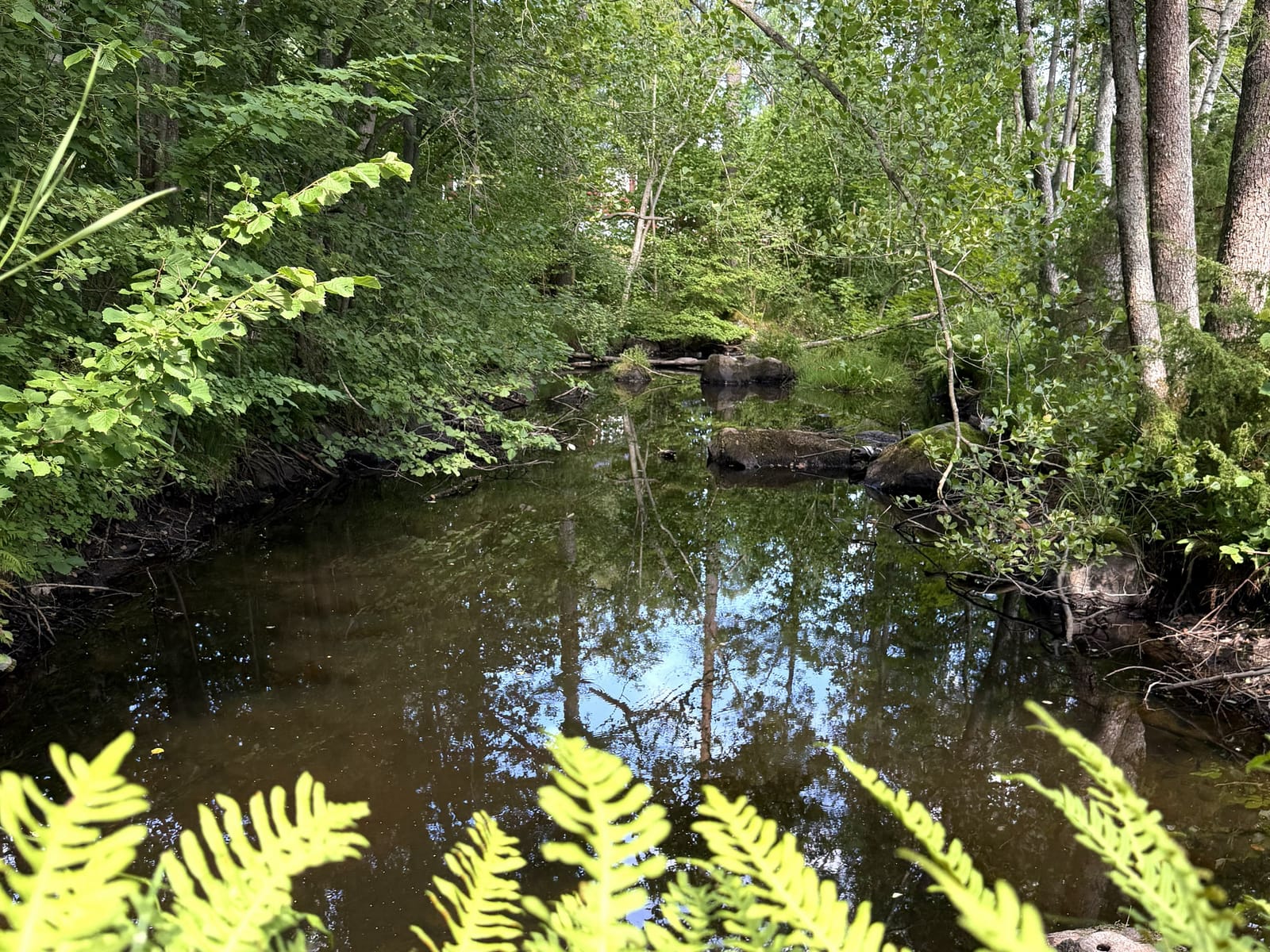 4 rok · 99 m² i Vimmerby – bild 22