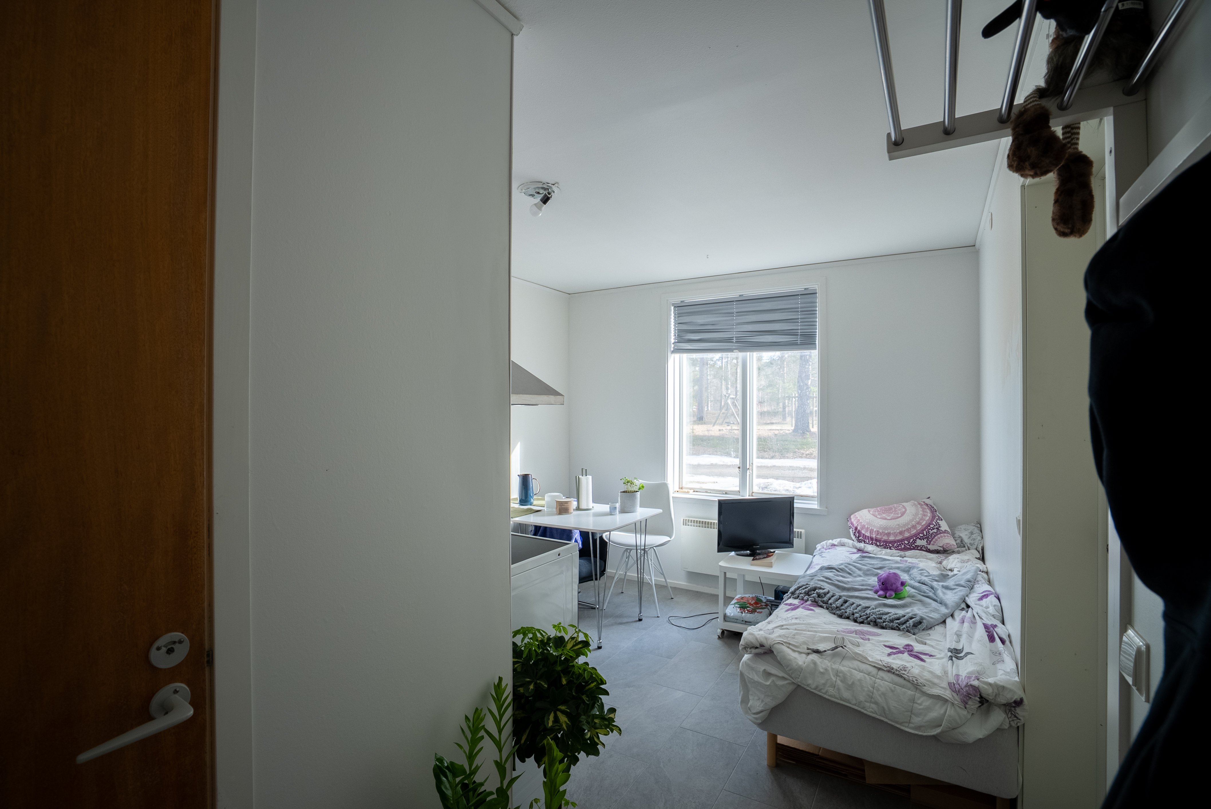 Lägenhet, 1 rooms, 15 sqm, Bjärtrå – bild 3