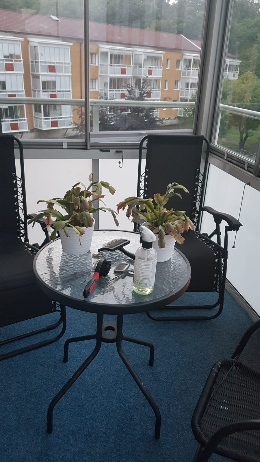 2 rok · 53 m² i Göteborg – bild 2