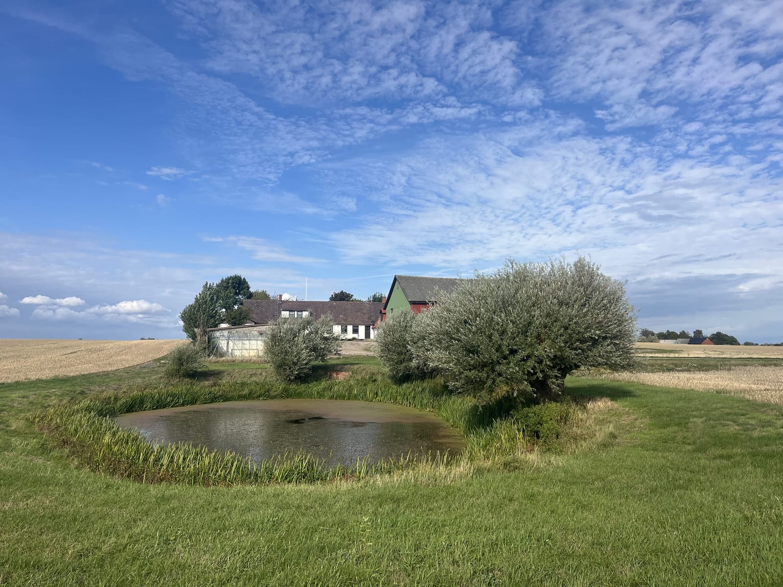 5 rok · 90 m² i Trelleborg – bild 2