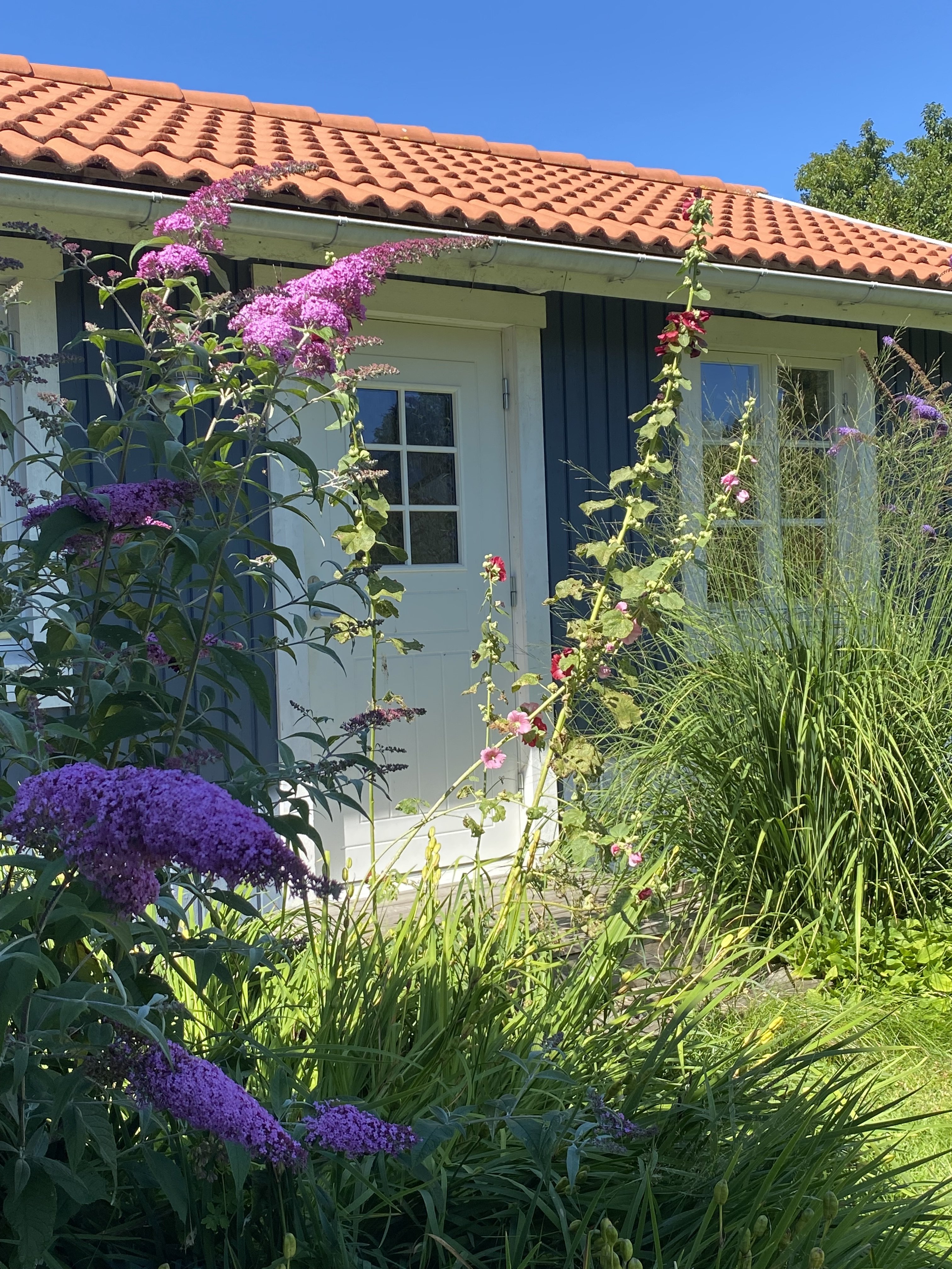 Stuga, 2 rooms, 30 sqm, Mölnlycke – bild 3