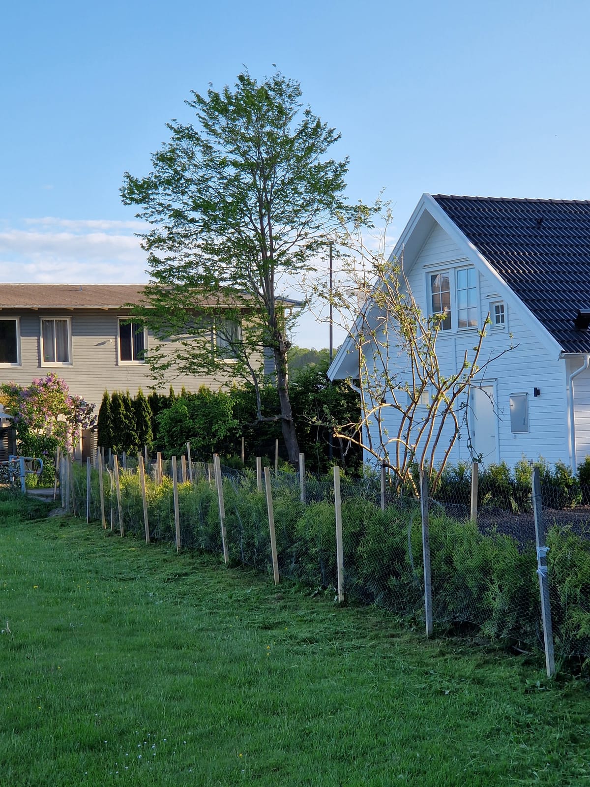 6 rok · 156 m² i Nödinge – bild 28