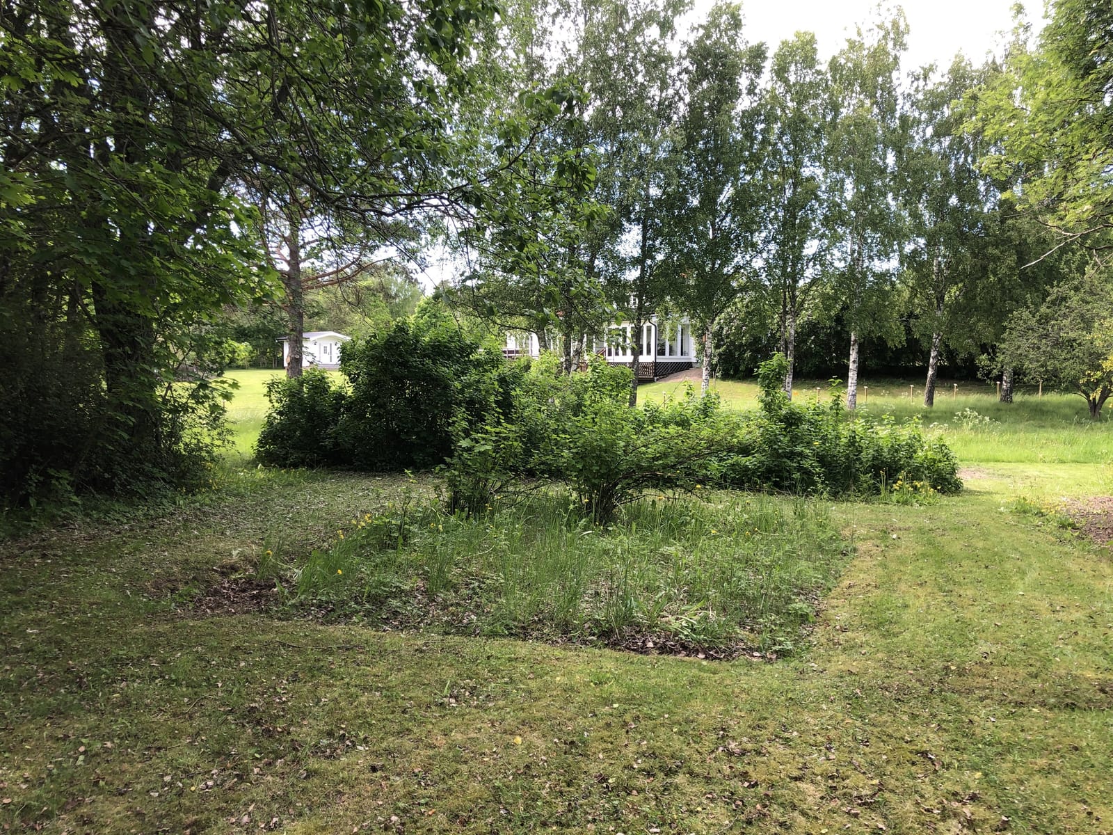 2 rok · 40 m² i Väddö – bild 3