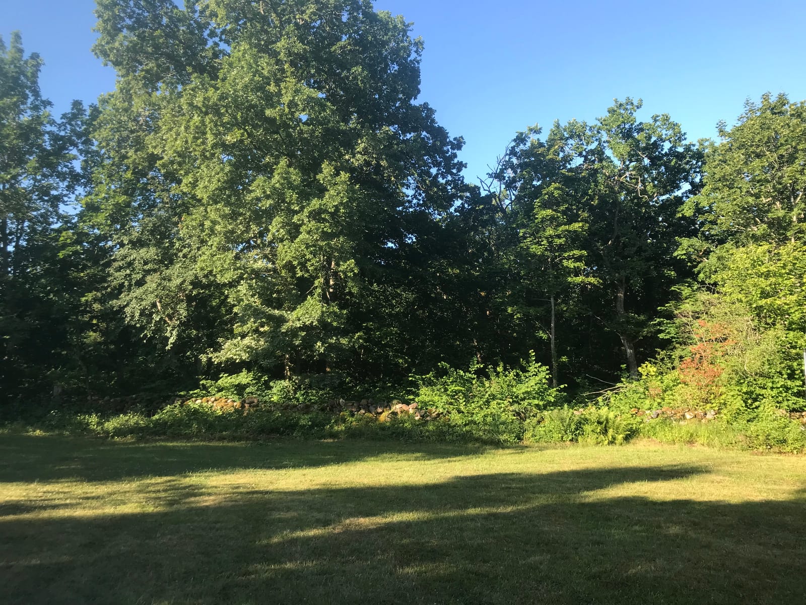 5 rok · 100 m² i Borgholm – bild 14