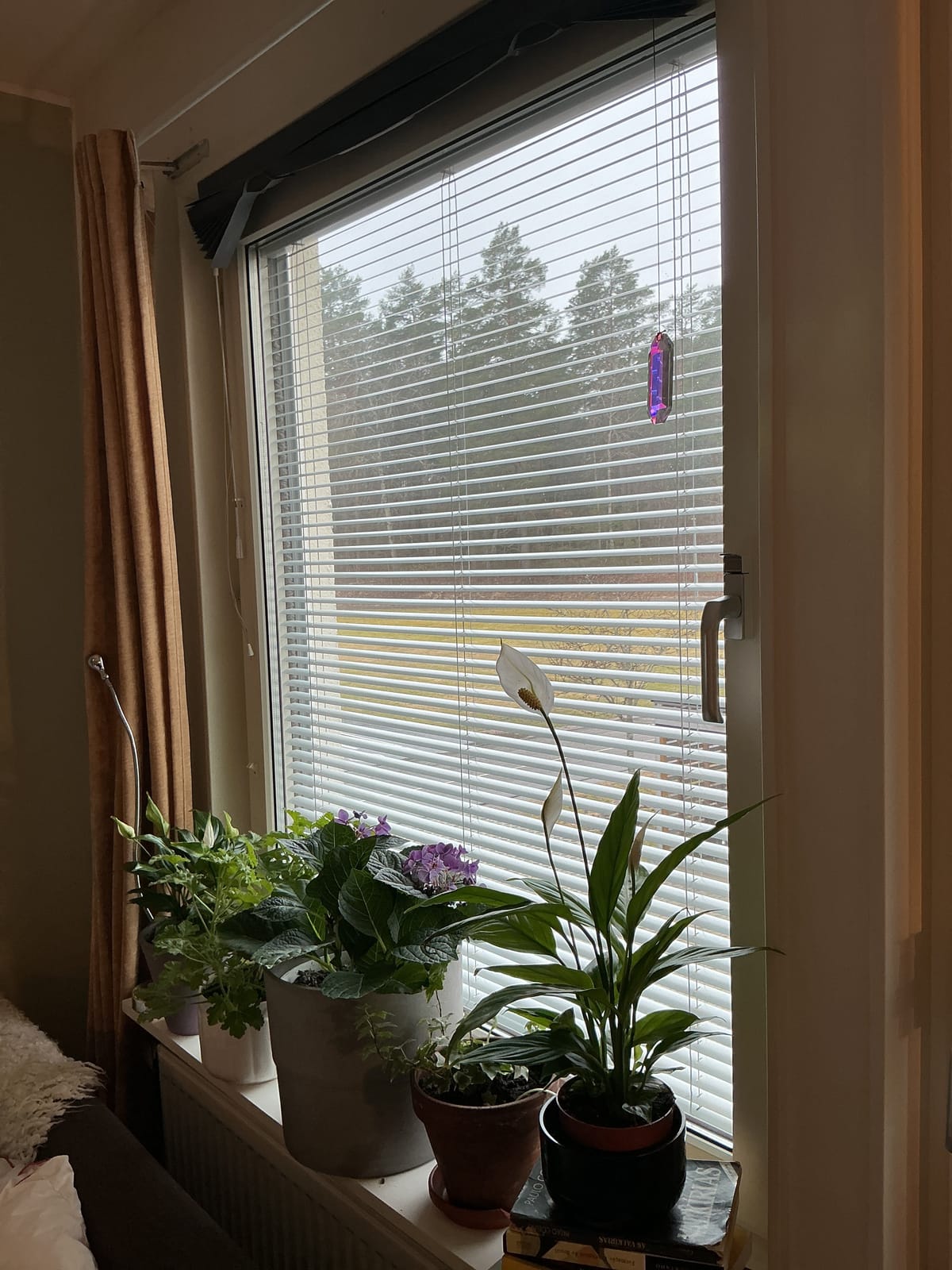 Lägenhet, 1 rooms, 27 sqm, Uppsala