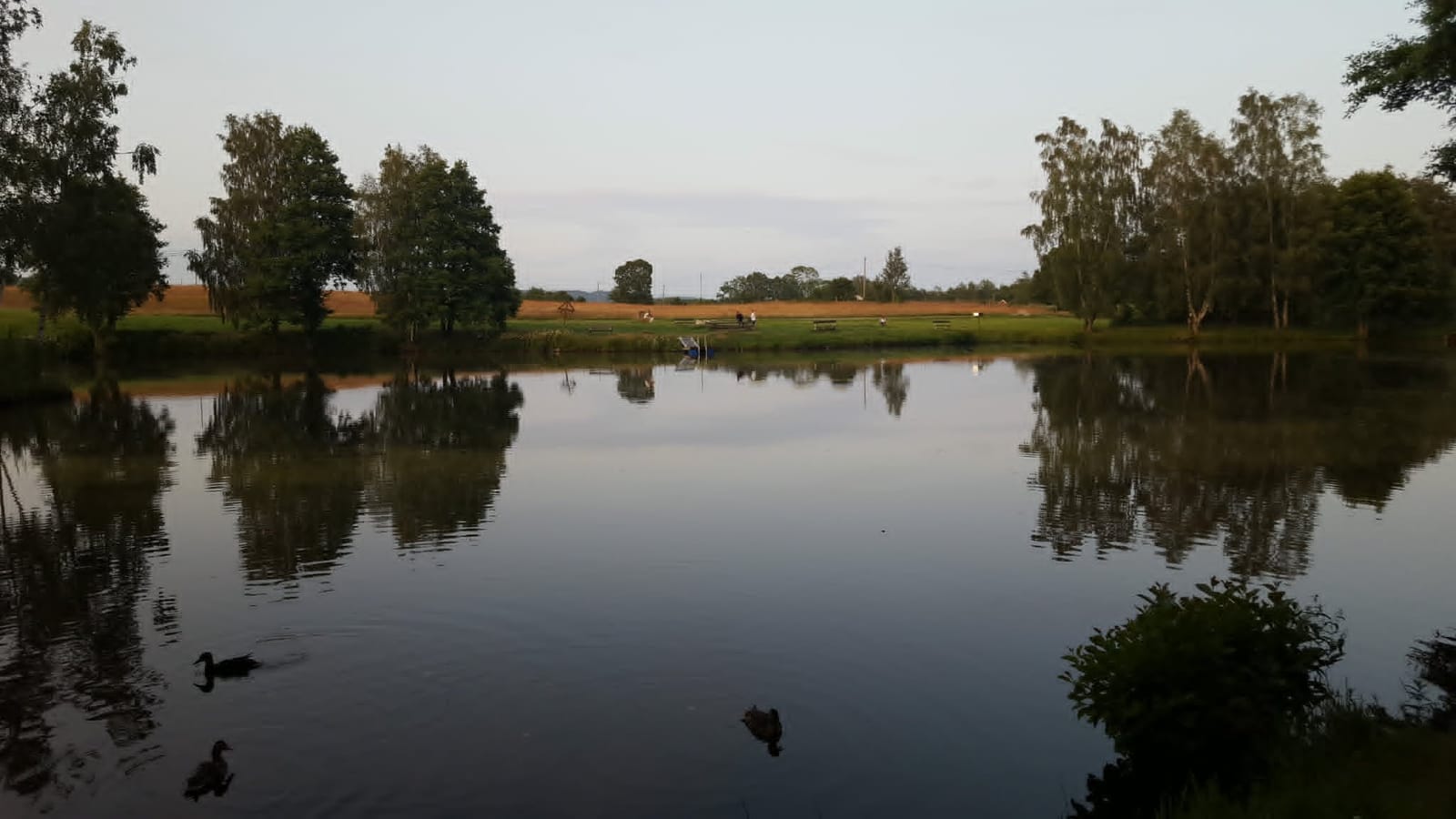 3 rok · 55 m² i Hjärnarp – bild 8