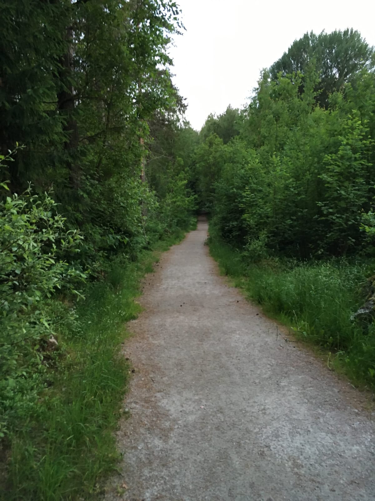 1 rok · 15 m² i Örebro – bild 3