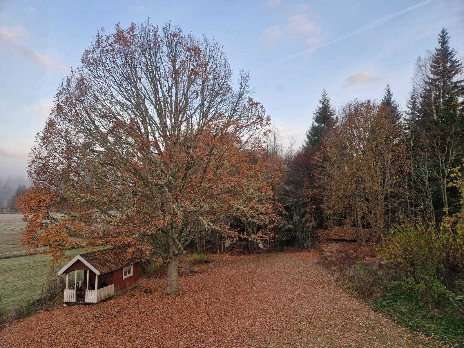 4 rok · 90 m² i Lakene – bild 4