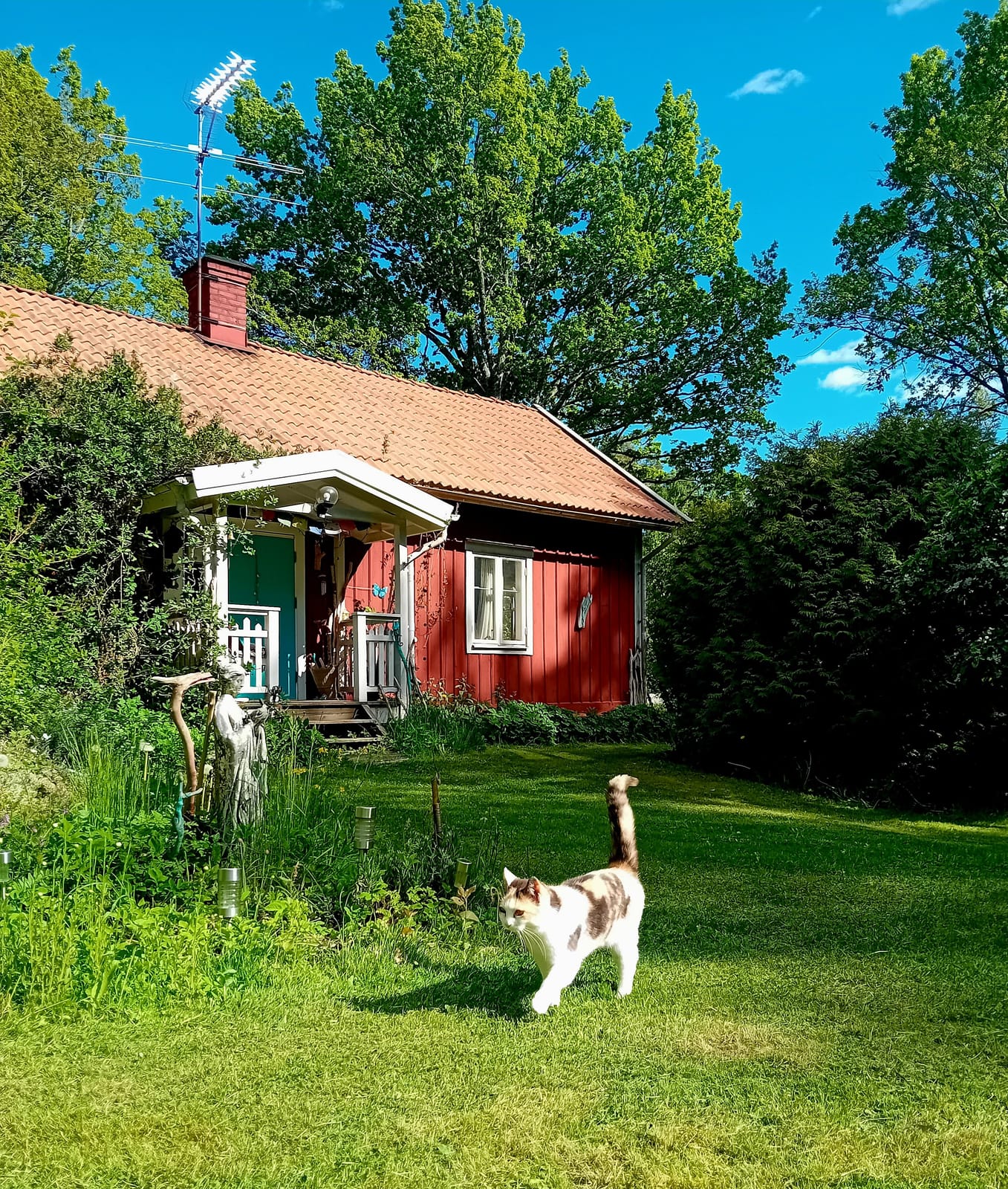 2 rok · 35 m² i Ödeshög – bild 6