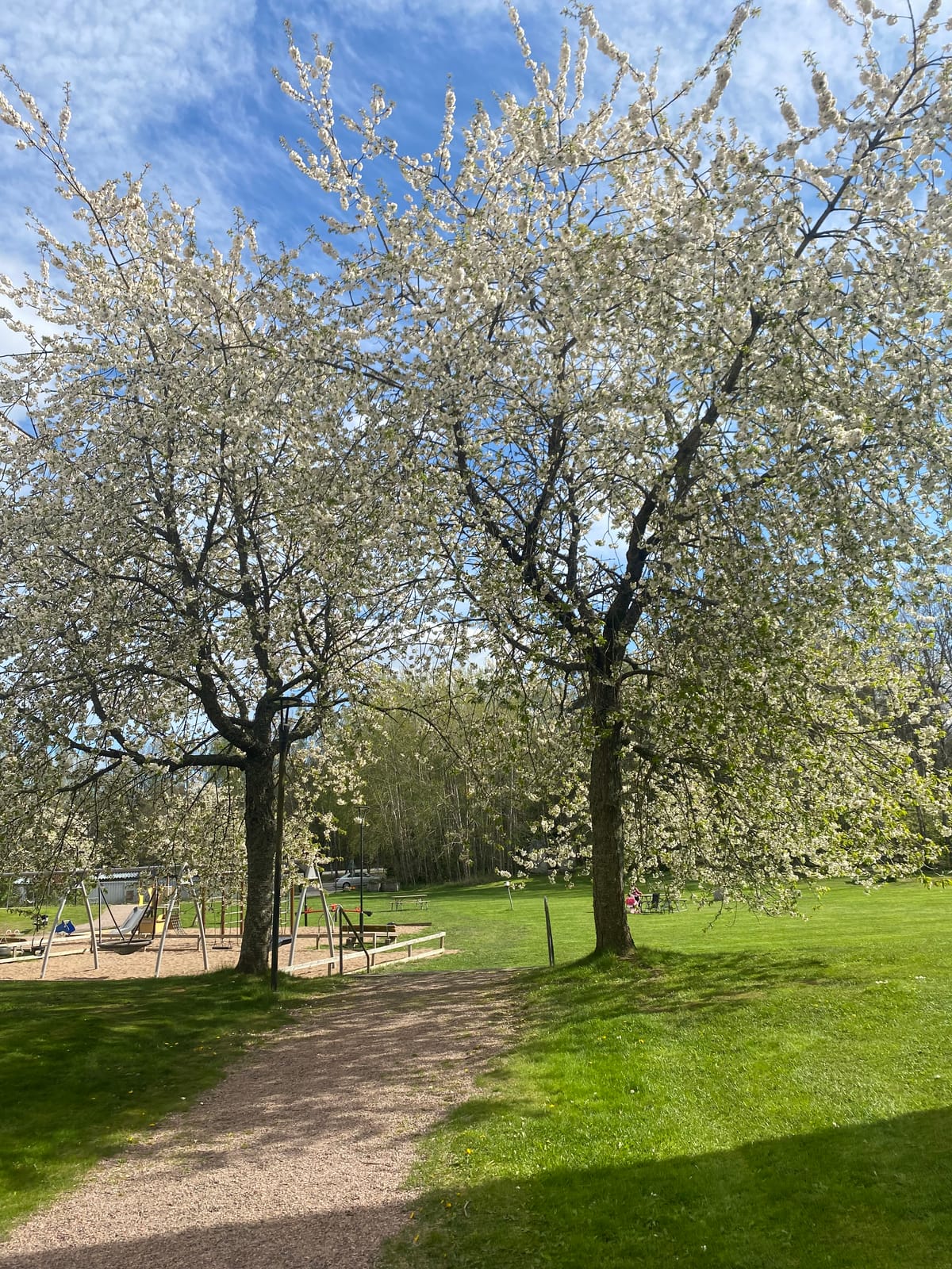 3 rok · 83 m² i NYKÖPING – bild 7
