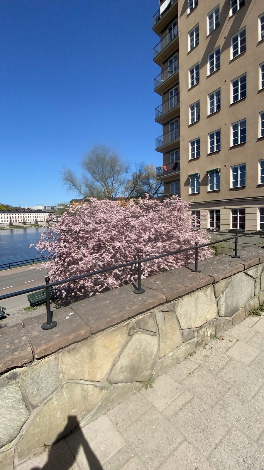 1 rok · 28 m² i Stockholm – bild 5