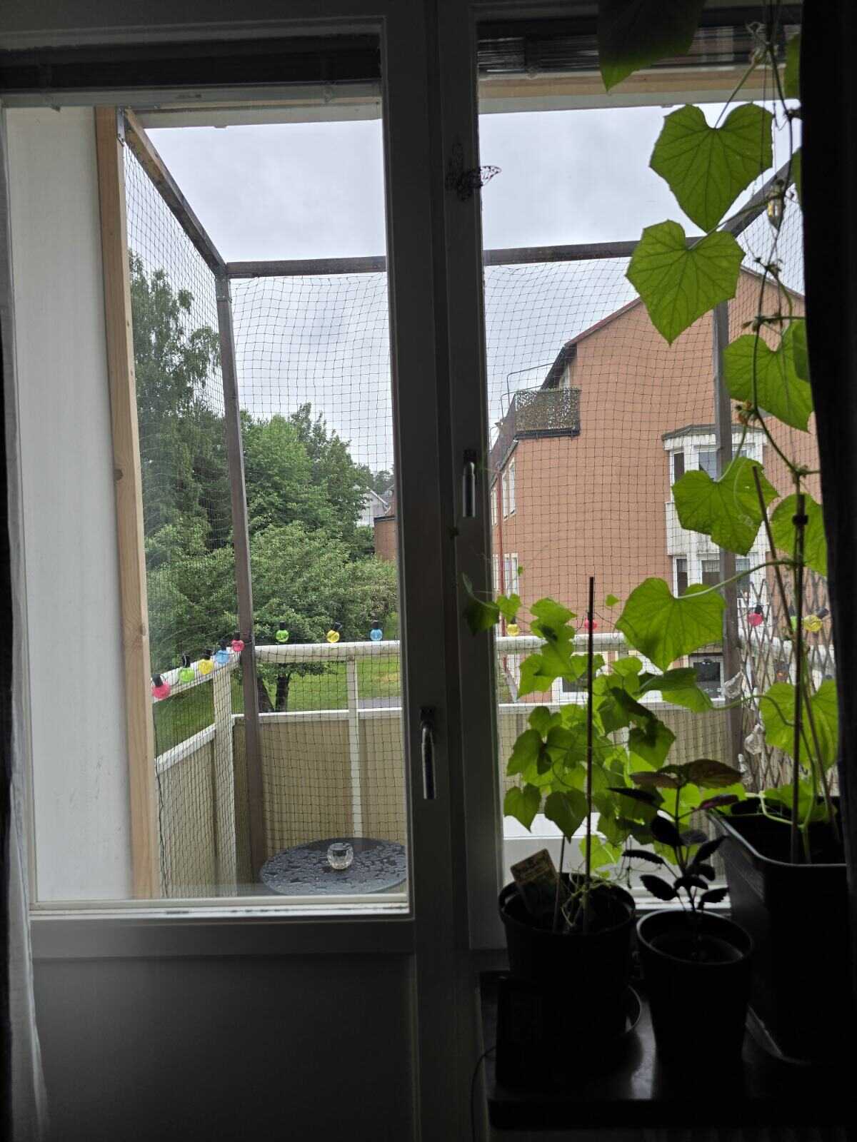 2 rok · 60 m² i Tranås – bild 6