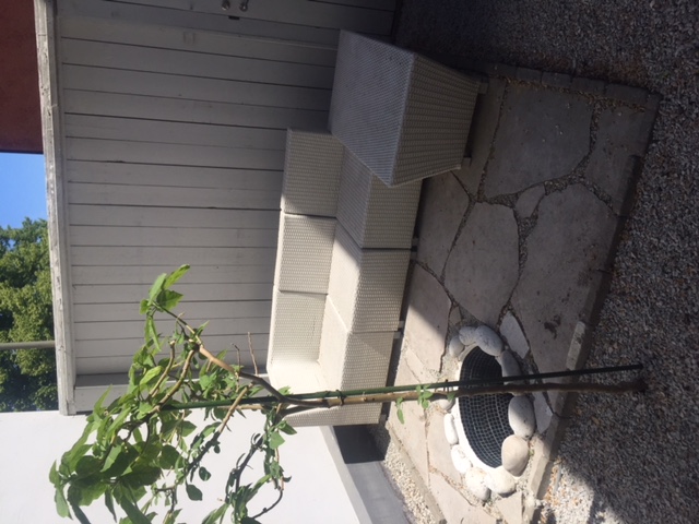 2 rok · 50 m² i Visby – bild 5