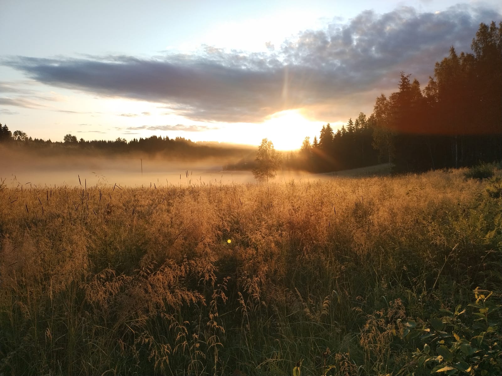 6 rok · 100 m² i Åmotfors  – bild 14