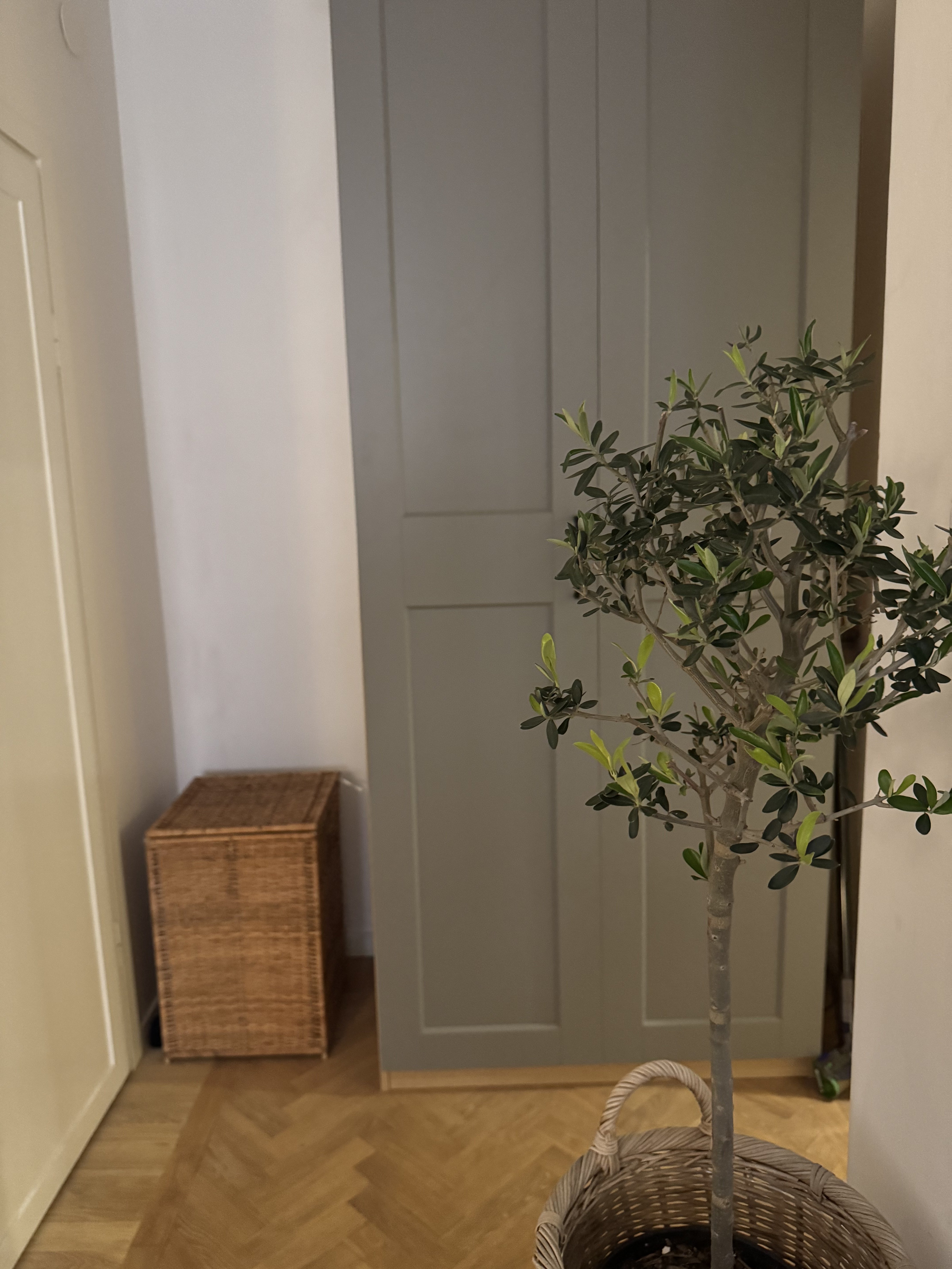 Lägenhet, 2 rooms, 40 sqm, Stockholm – bild 5
