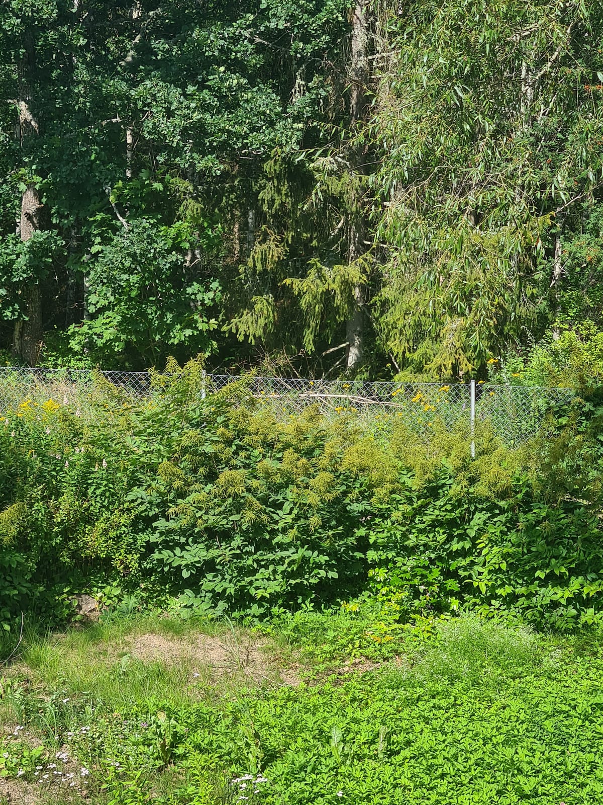 3 rok · 56 m² i Virserum – bild 21