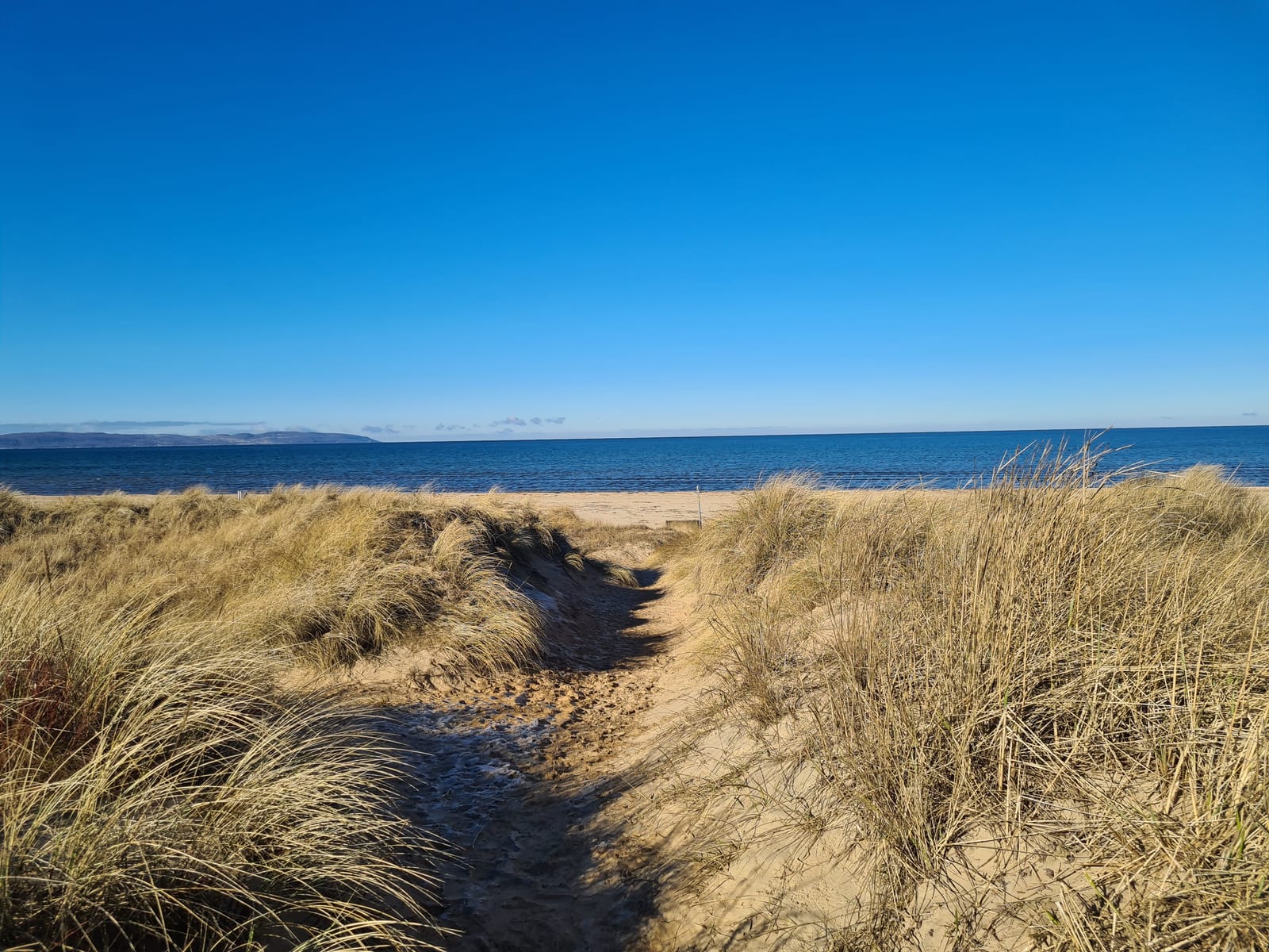 2 rok · 25 m² i Mellbystrand – bild 9