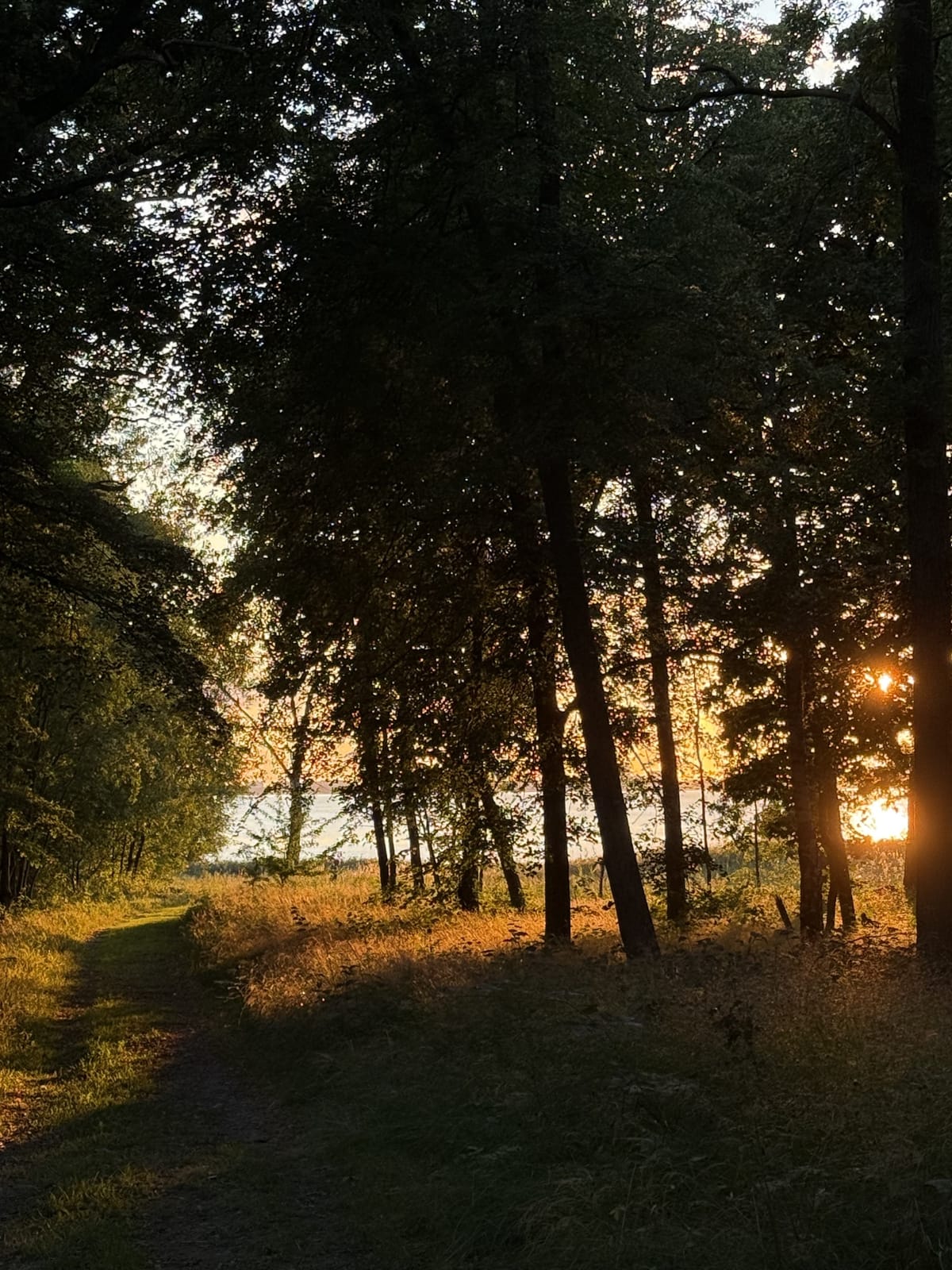 3 rok · 55 m² i Färjestaden – bild 22
