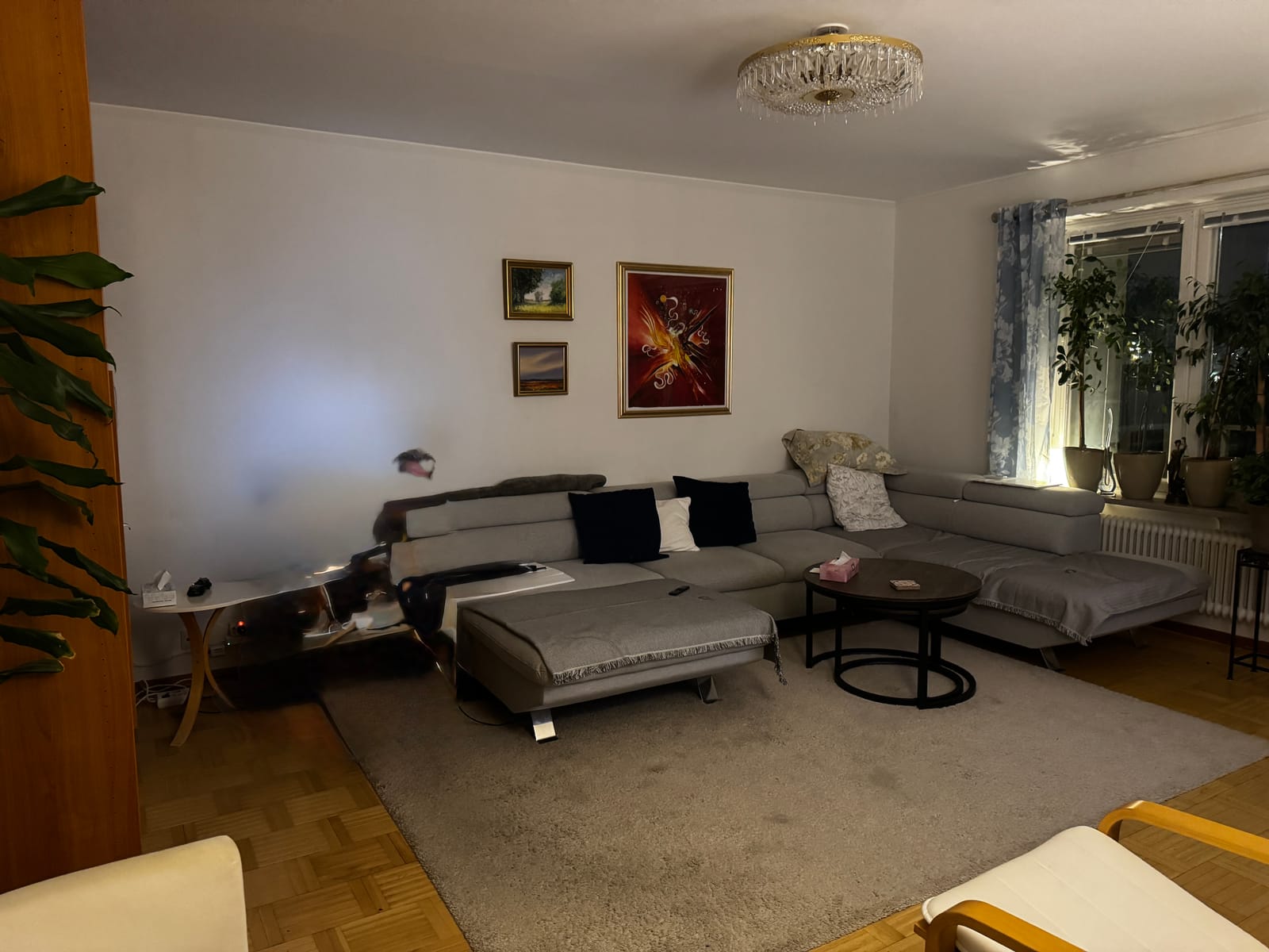 Lägenhet, 3 rooms, 80 sqm, Kalmar