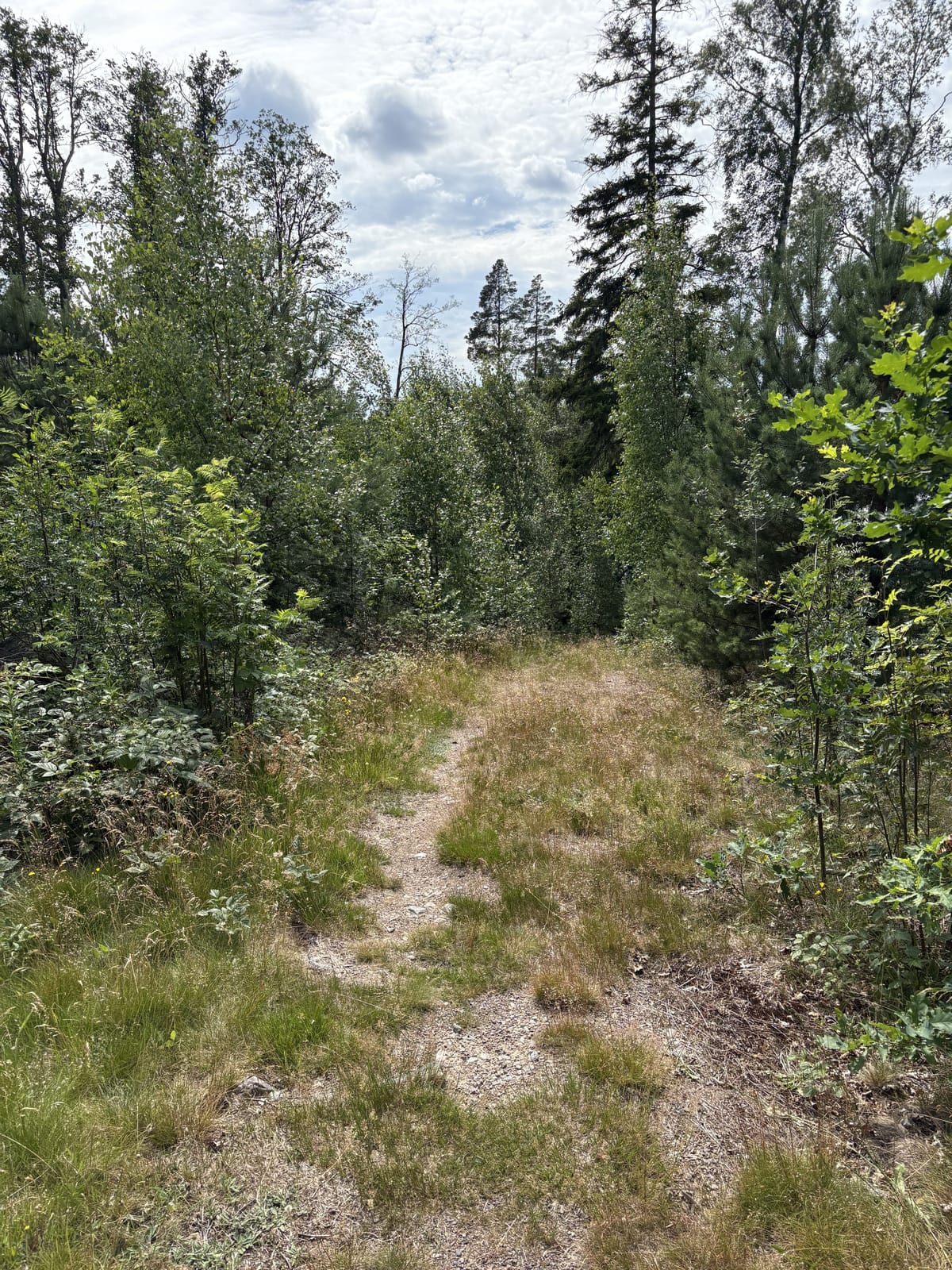 5 rok · 115 m² i Örsjö – bild 5