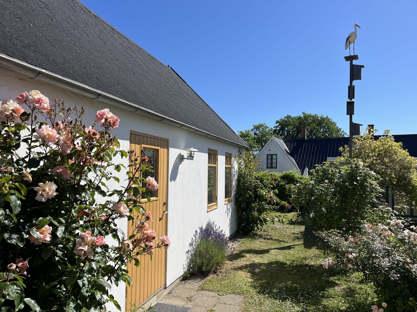 3 rok · 55 m² i Brantevik – bild 2