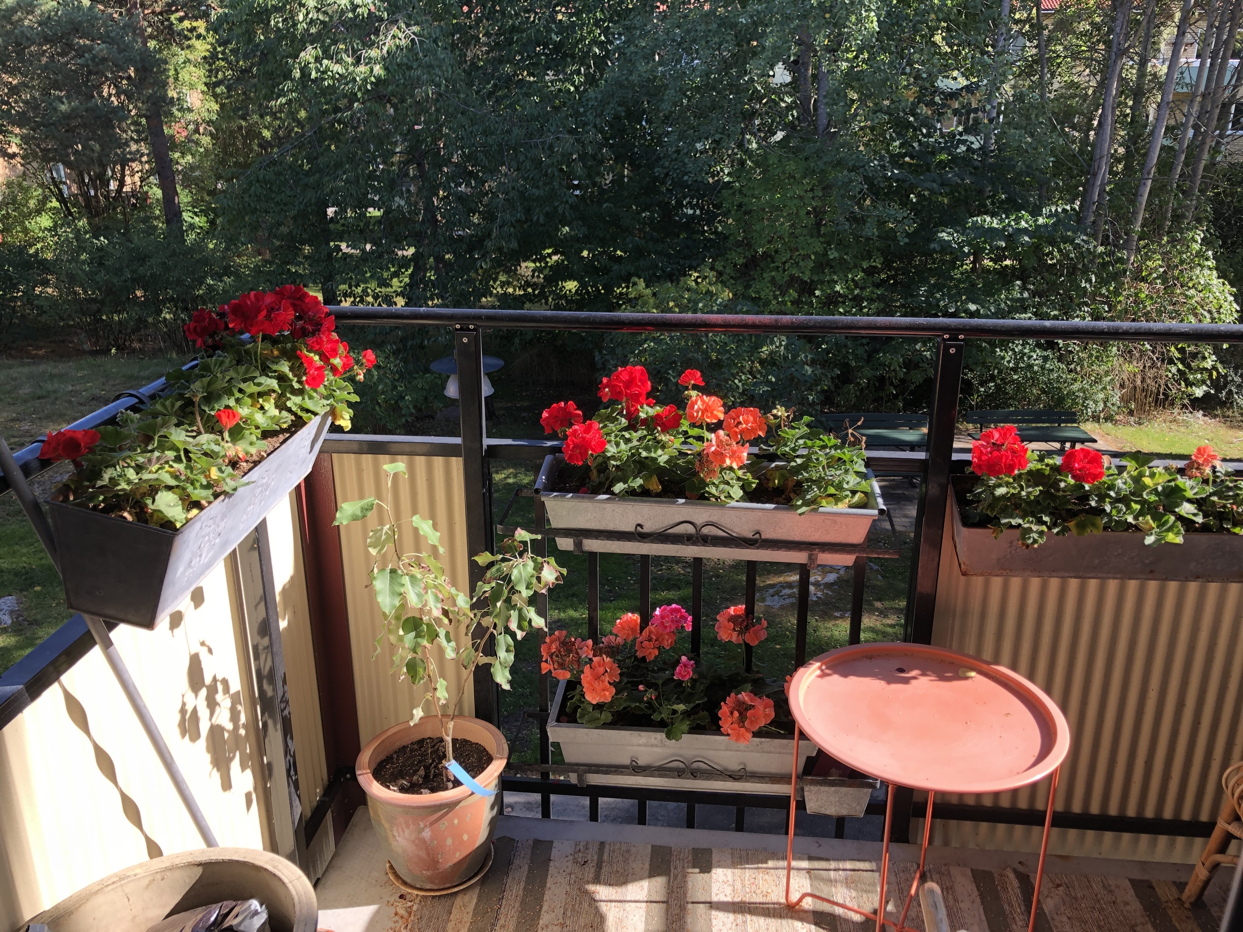 Lägenhet, 1 rooms, 14 sqm, Årsta – Årsta