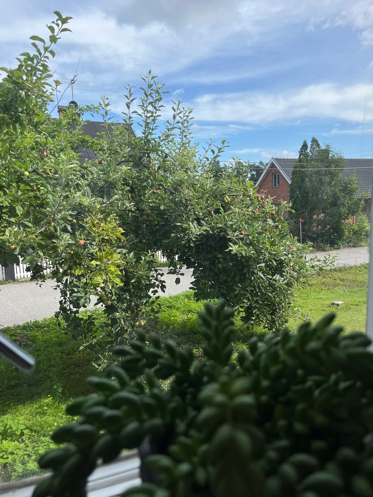 2 rok · 55 m² i Lidingö – bild 7
