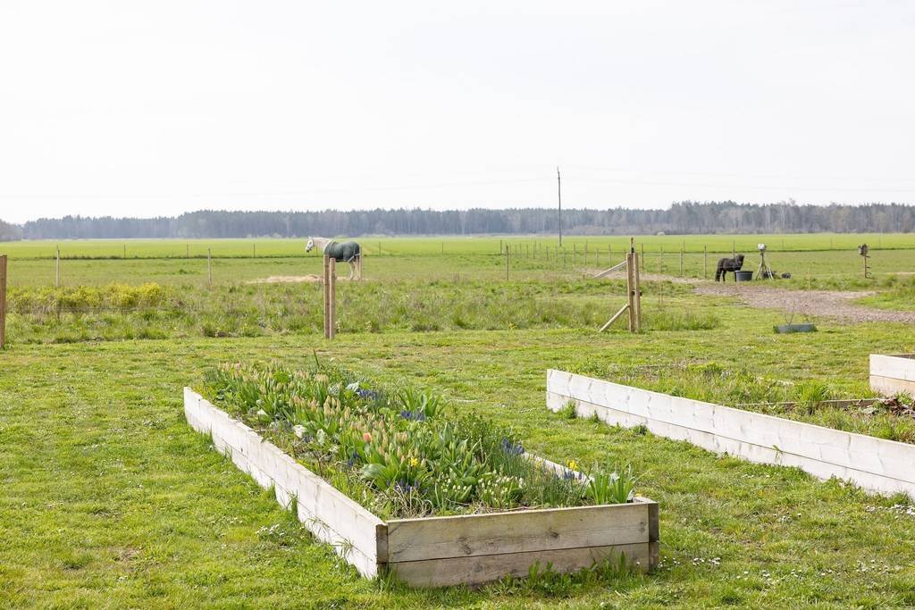 6 rok · 220 m² i Stånga – bild 18