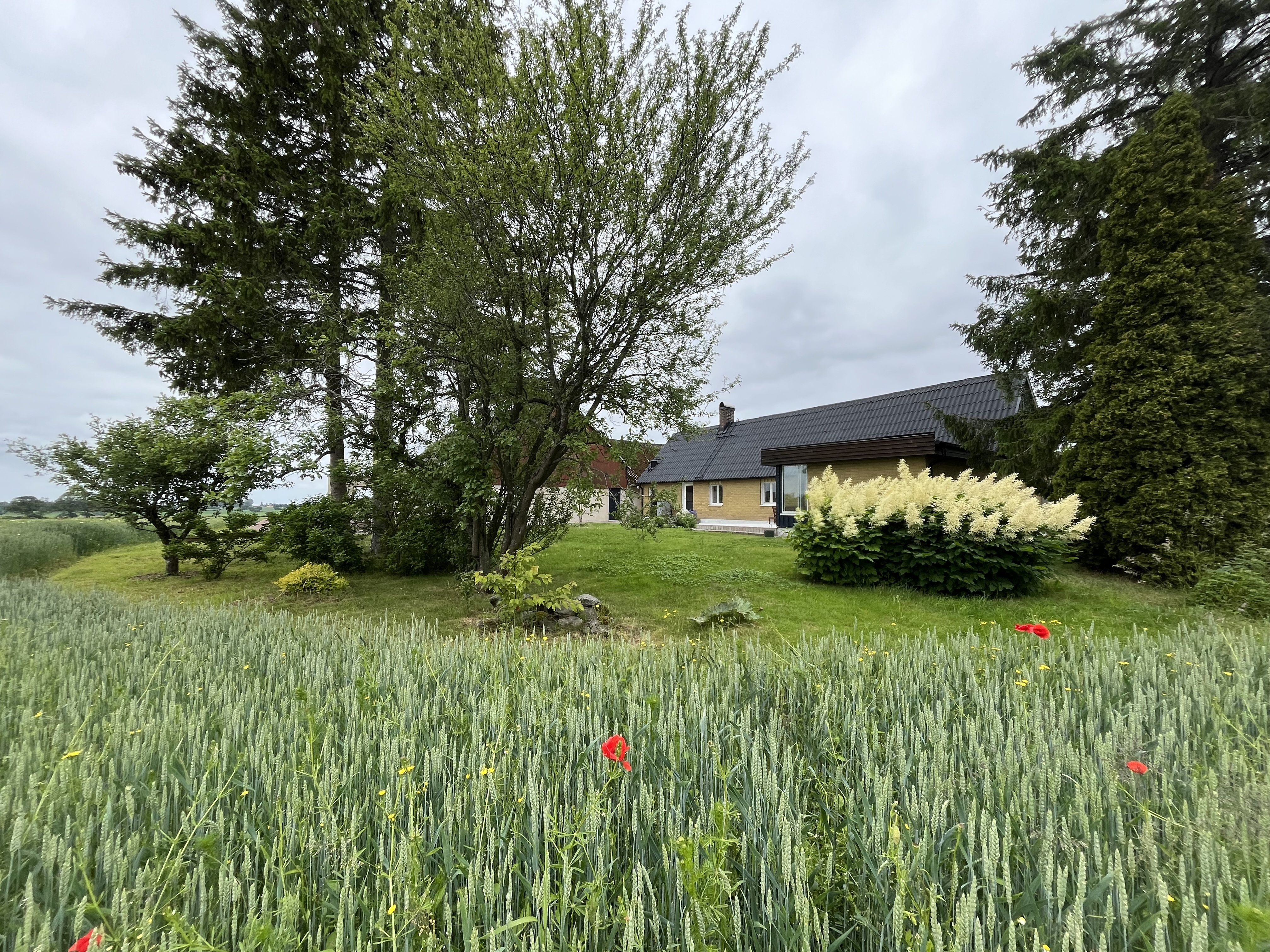 Villa/Hus, 2 rooms, 100 sqm, Stehag – bild 2