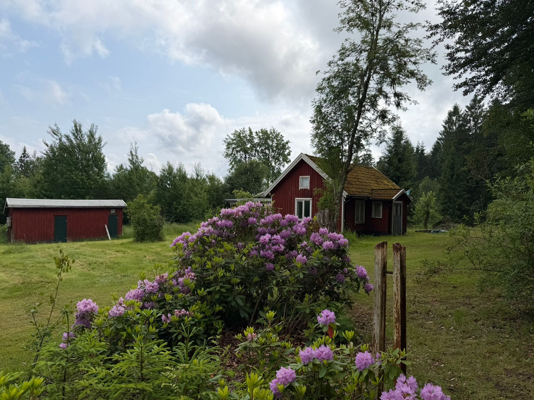 Stuga, 3 rooms, 85 sqm, Högsäter – bild 15