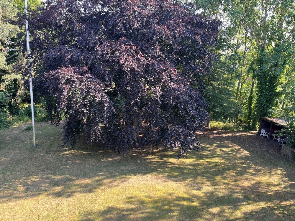 16 rok · 500 m² i Tygelsjö – bild 4