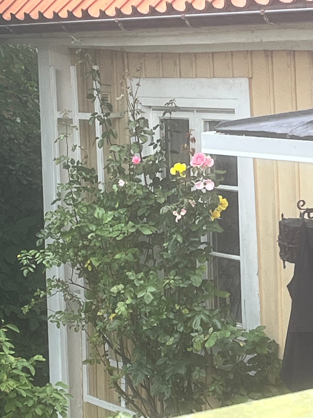 Lägenhet, 4 rooms, 89 sqm, Karlskrona