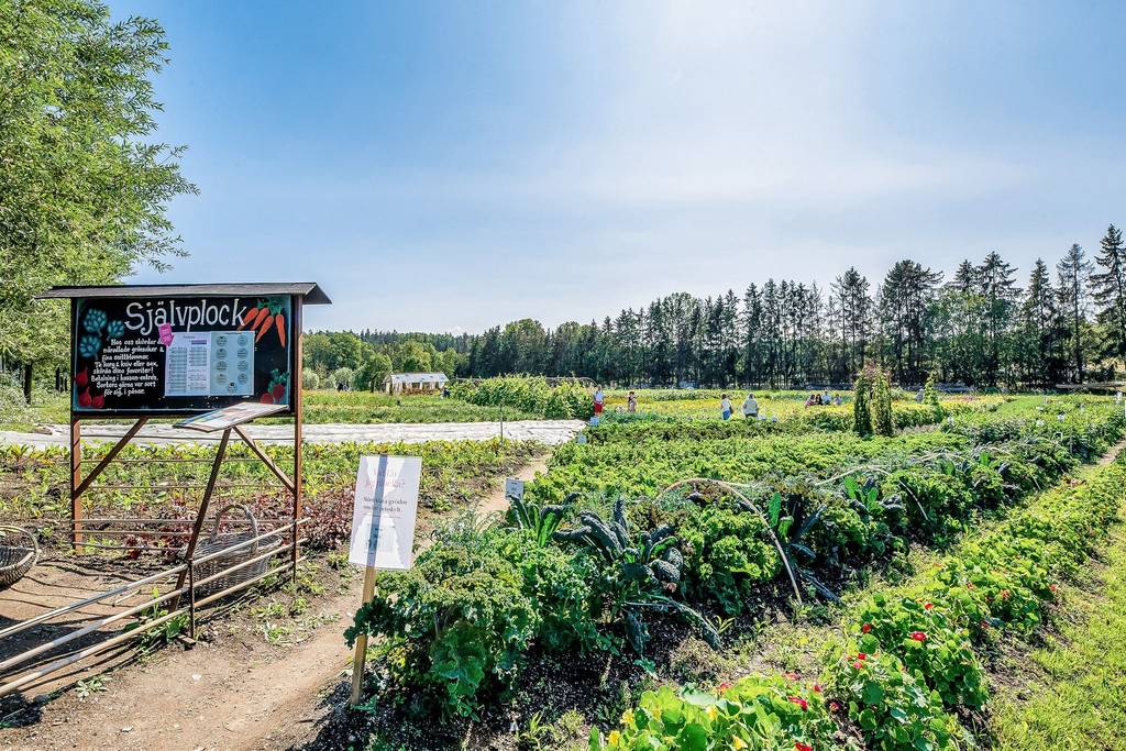 2 rok · 40 m² i Solna – bild 17