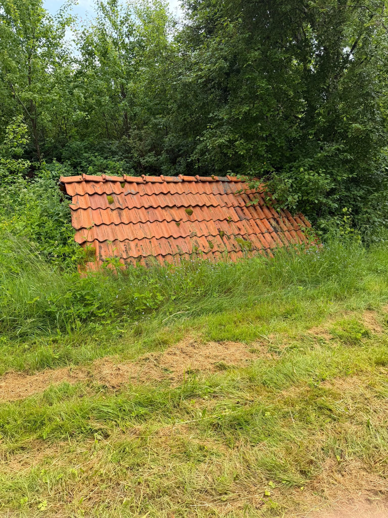 Stuga, 3 rooms, 85 sqm, Högsäter – bild 10