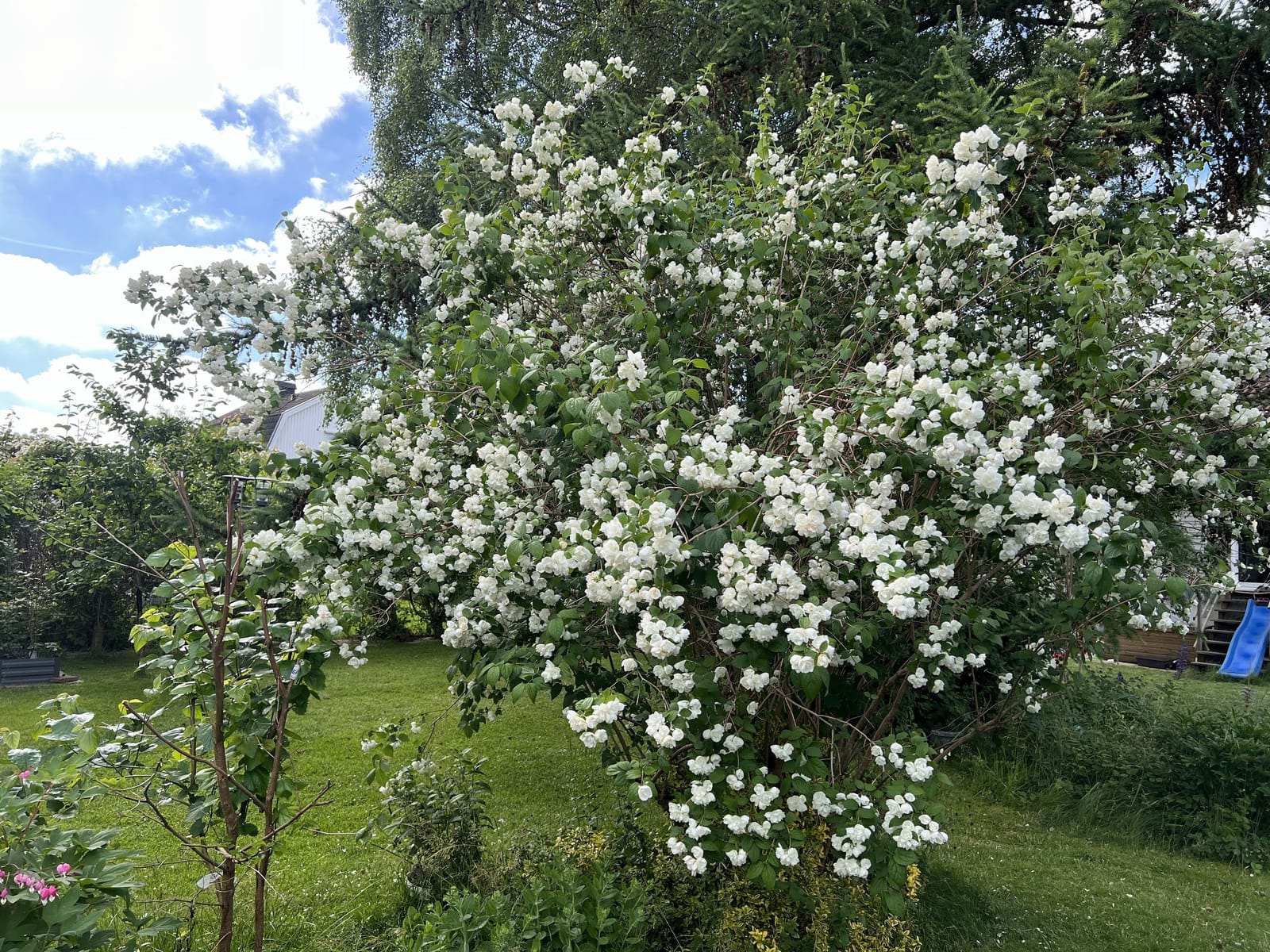 6 rok · 150 m² i Mölndal – bild 6