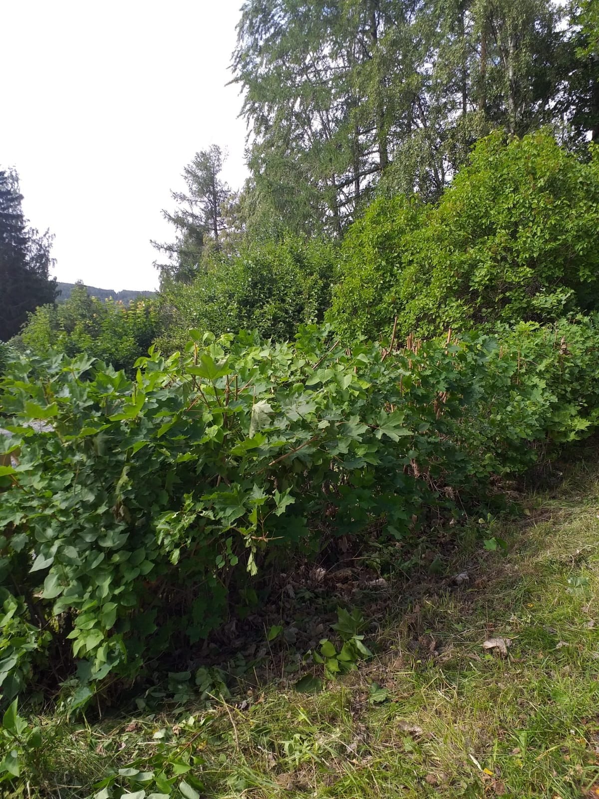 4 rok · 84 m² i Kramfors – bild 16