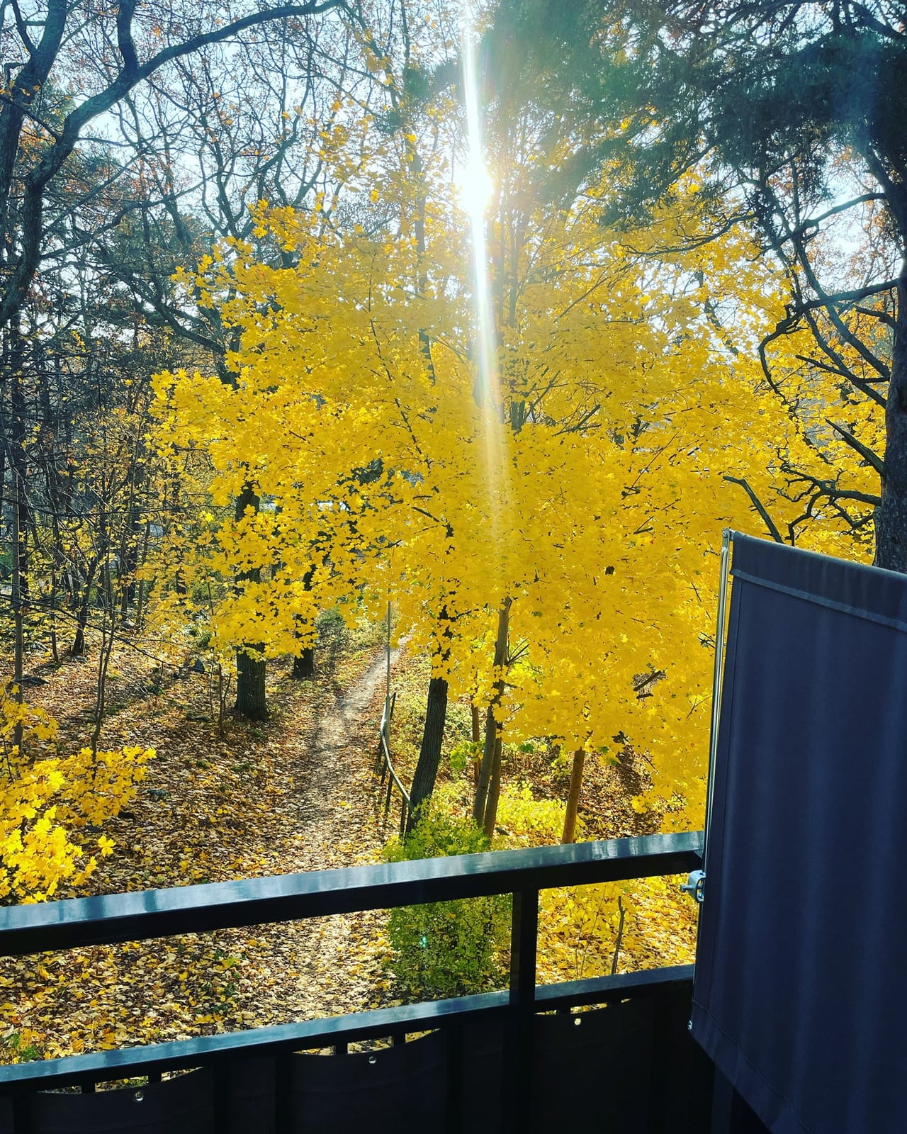 1 rok · 30 m² i Stocksund – bild 7