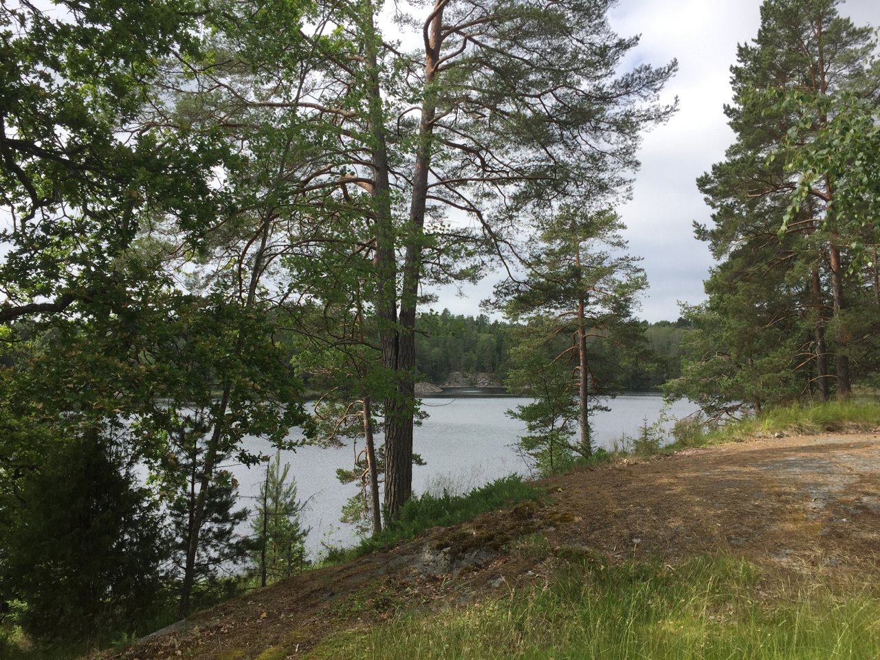 Stuga, 4 rooms, 60 sqm, Ingarö – bild 13