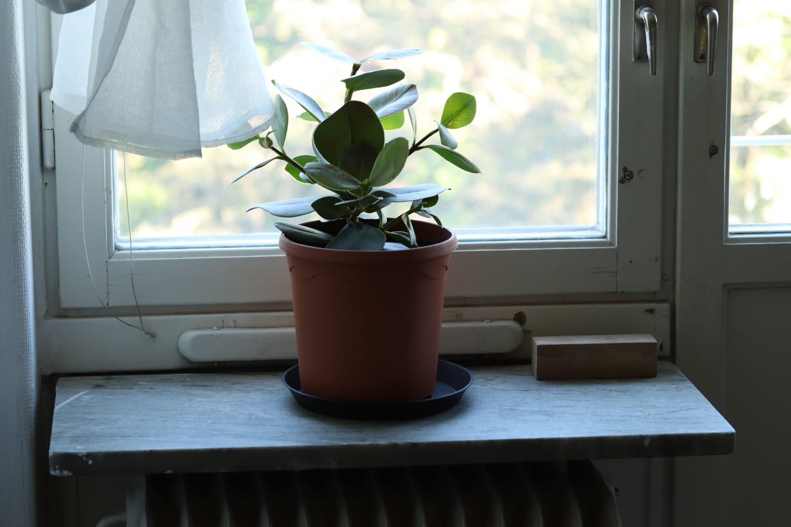 Lägenhet, 1 rooms, 16 sqm, Hägersten