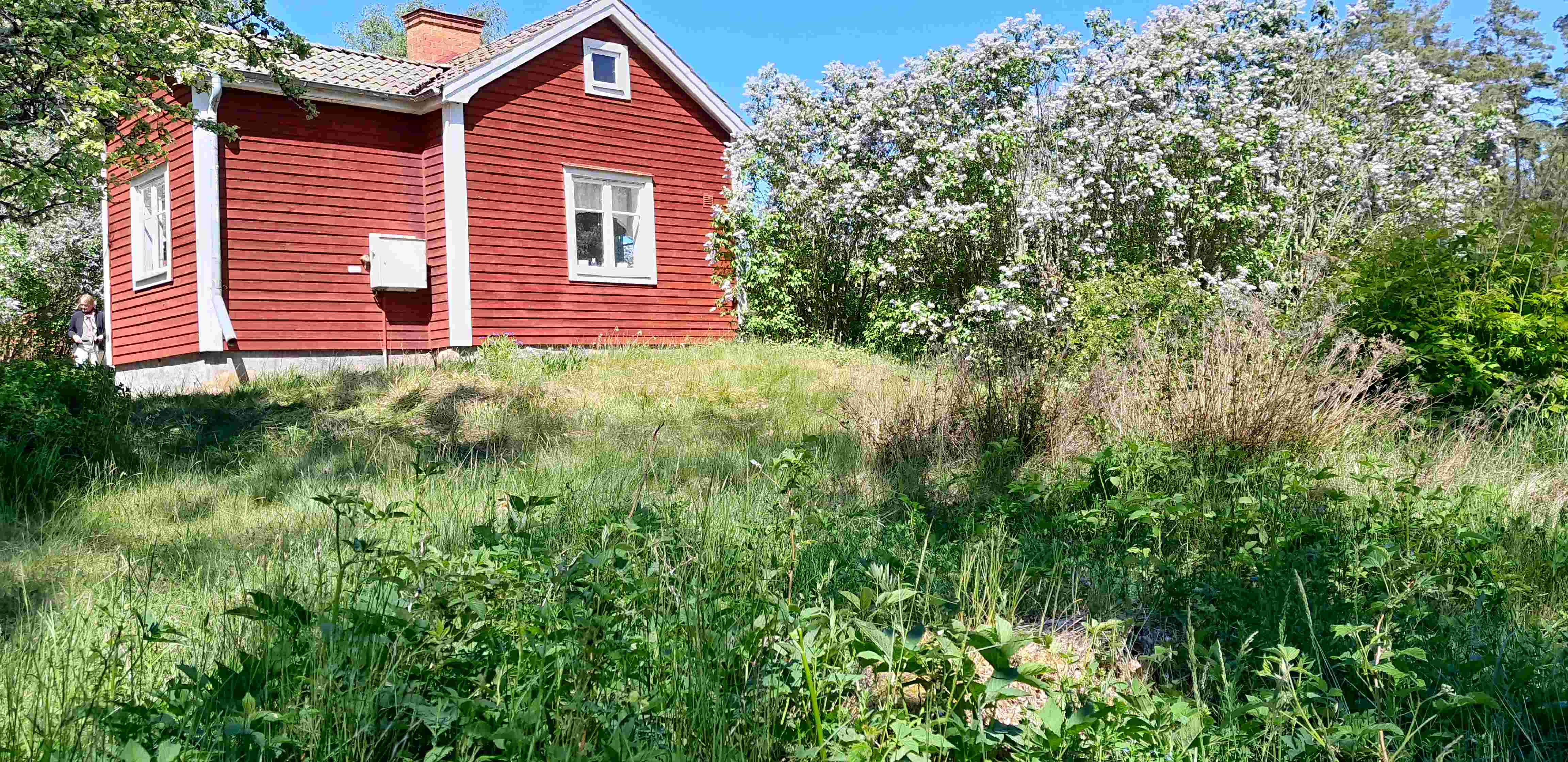 Stuga, 1 rooms, 40 sqm, Ringarum – bild 4