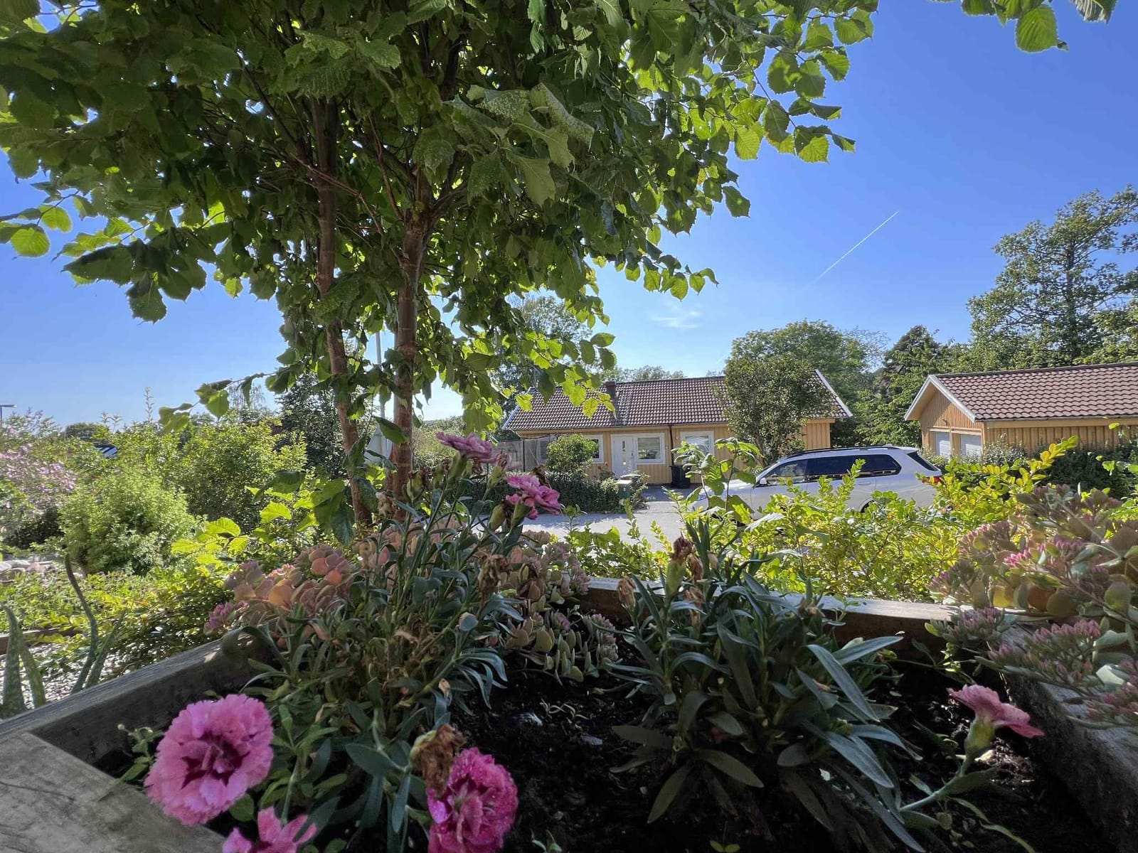 2 rok · 47 m² i Sigtuna – bild 8