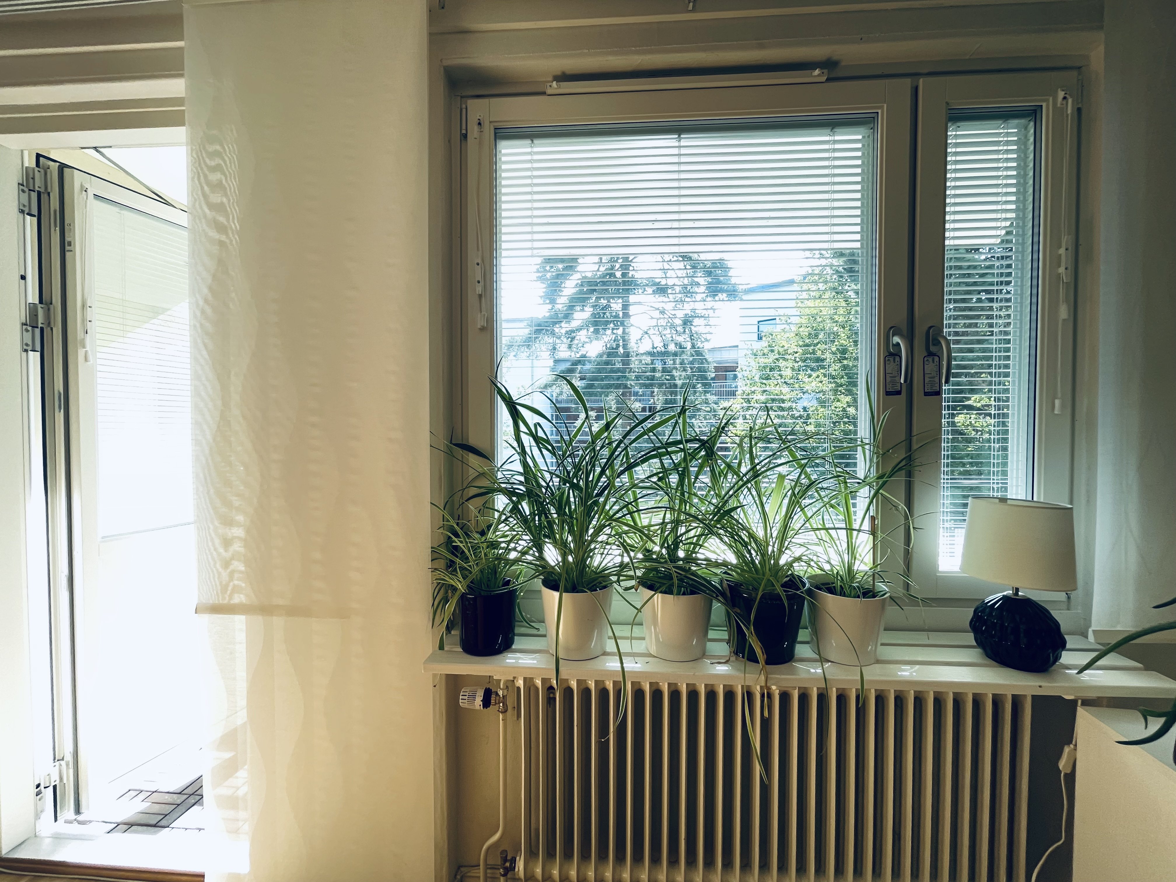 Lägenhet, 2 rooms, 60 sqm, Järfälla – bild 4