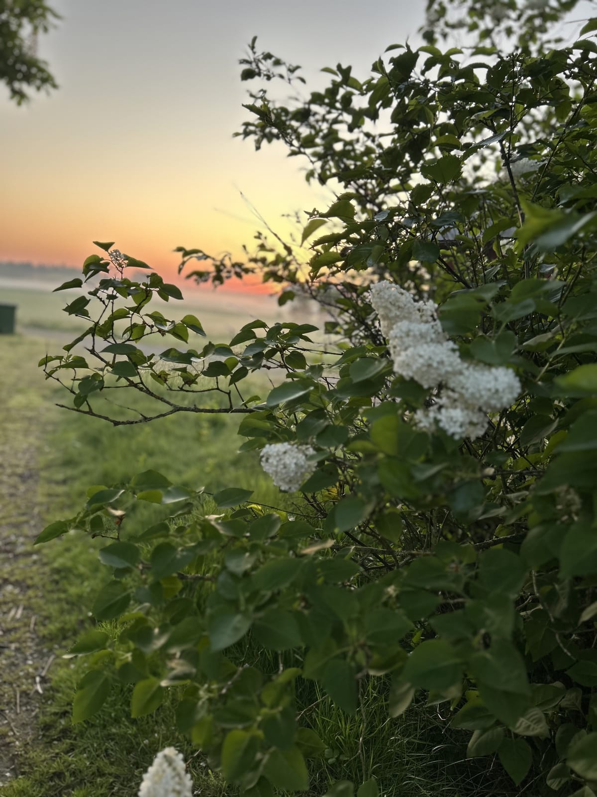 4 rok · 100 m² i Grästorp – bild 12