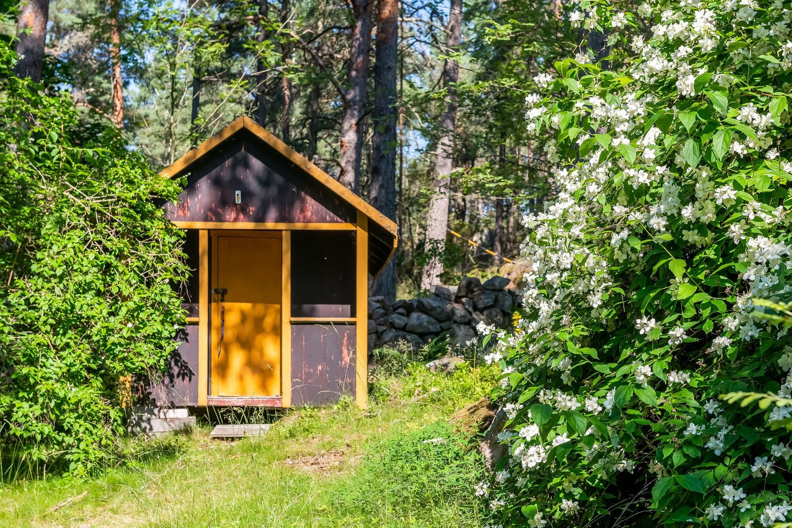 2 rok · 50 m² i Vikbolandet – bild 11
