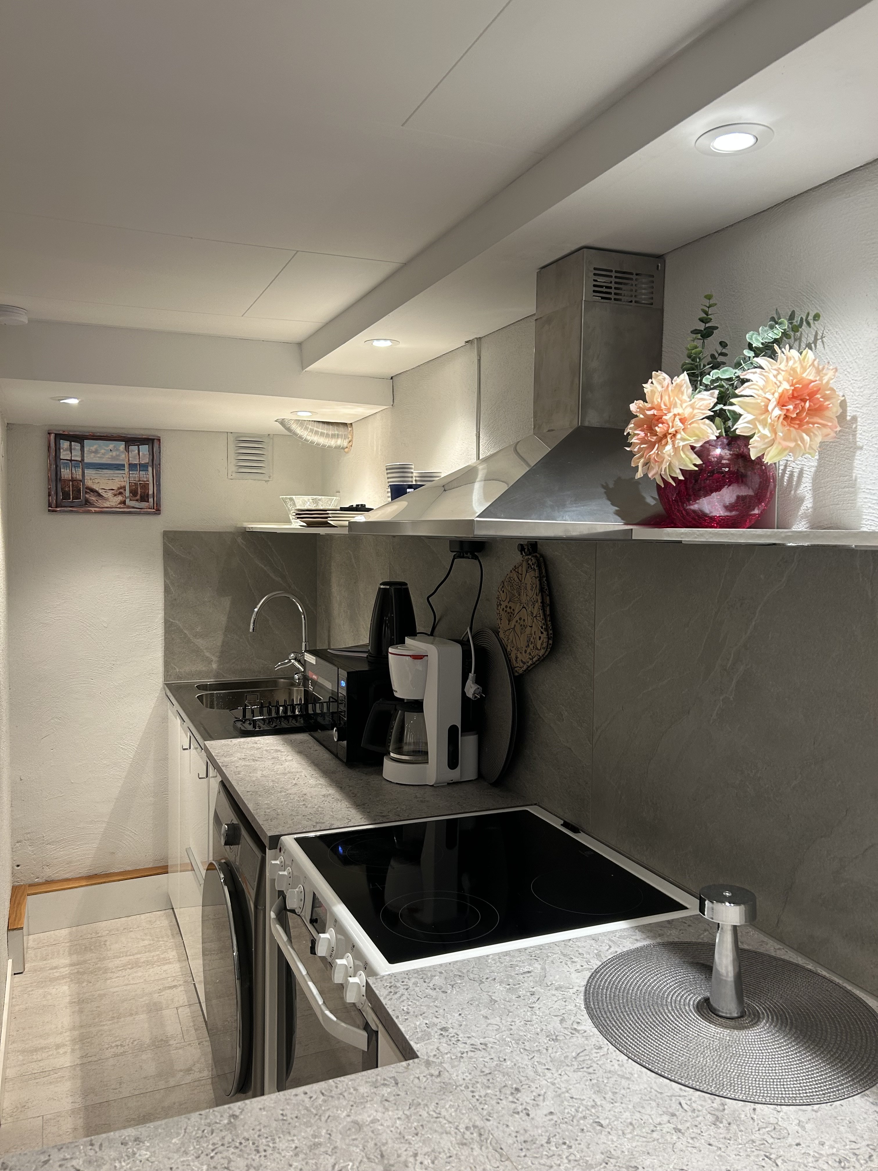 Lägenhet, 1 rooms, 22 sqm, Vega – bild 6