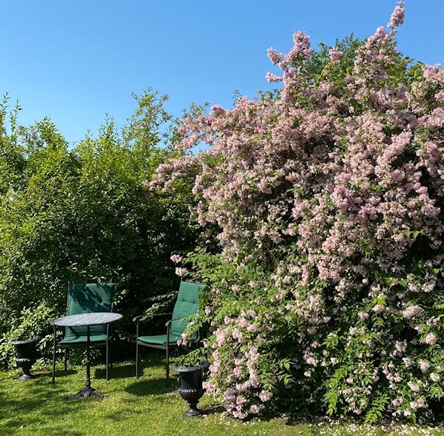 3 rok · 80 m² i Åkersberga – bild 6